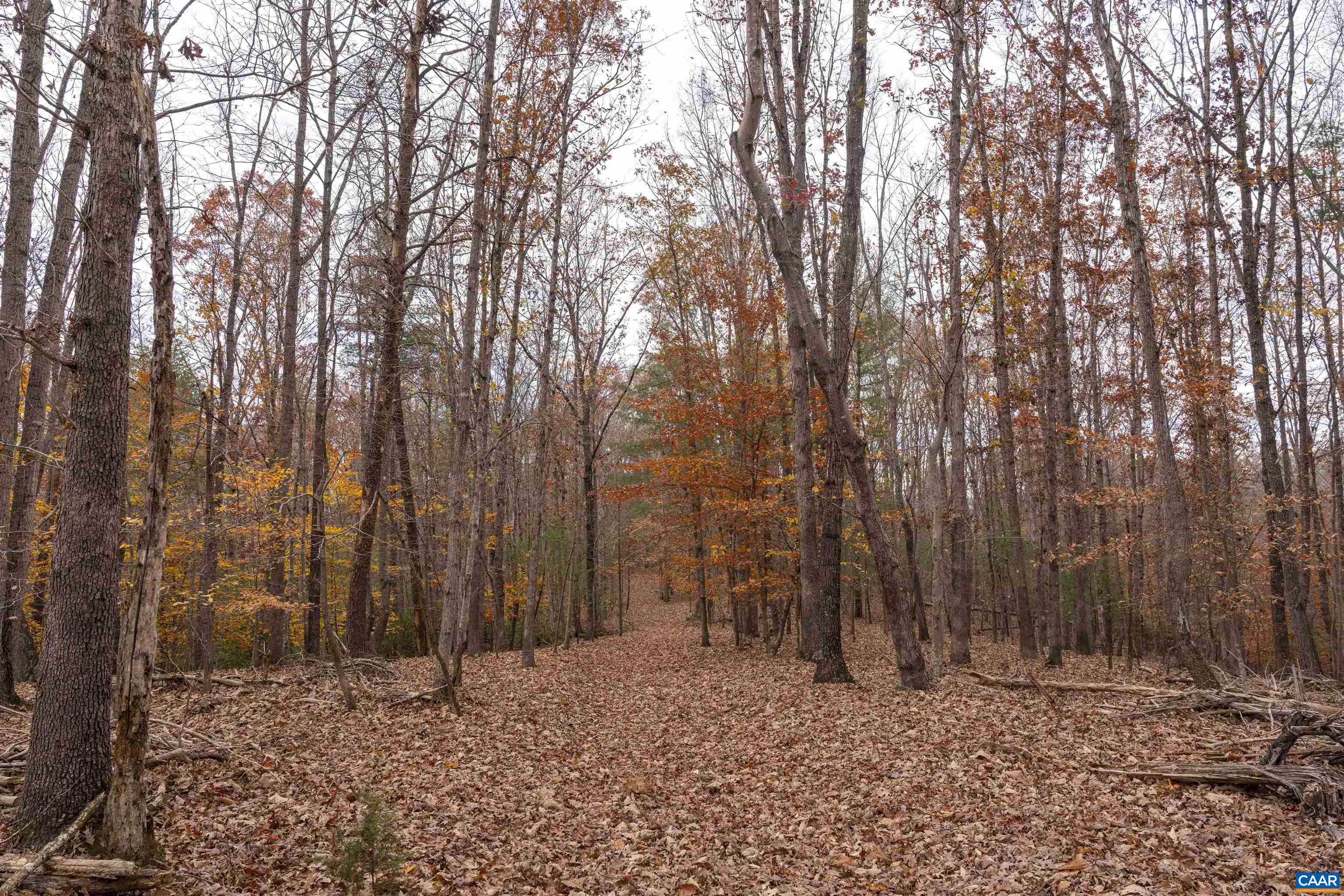 Lot 1A JIM LANE RD
