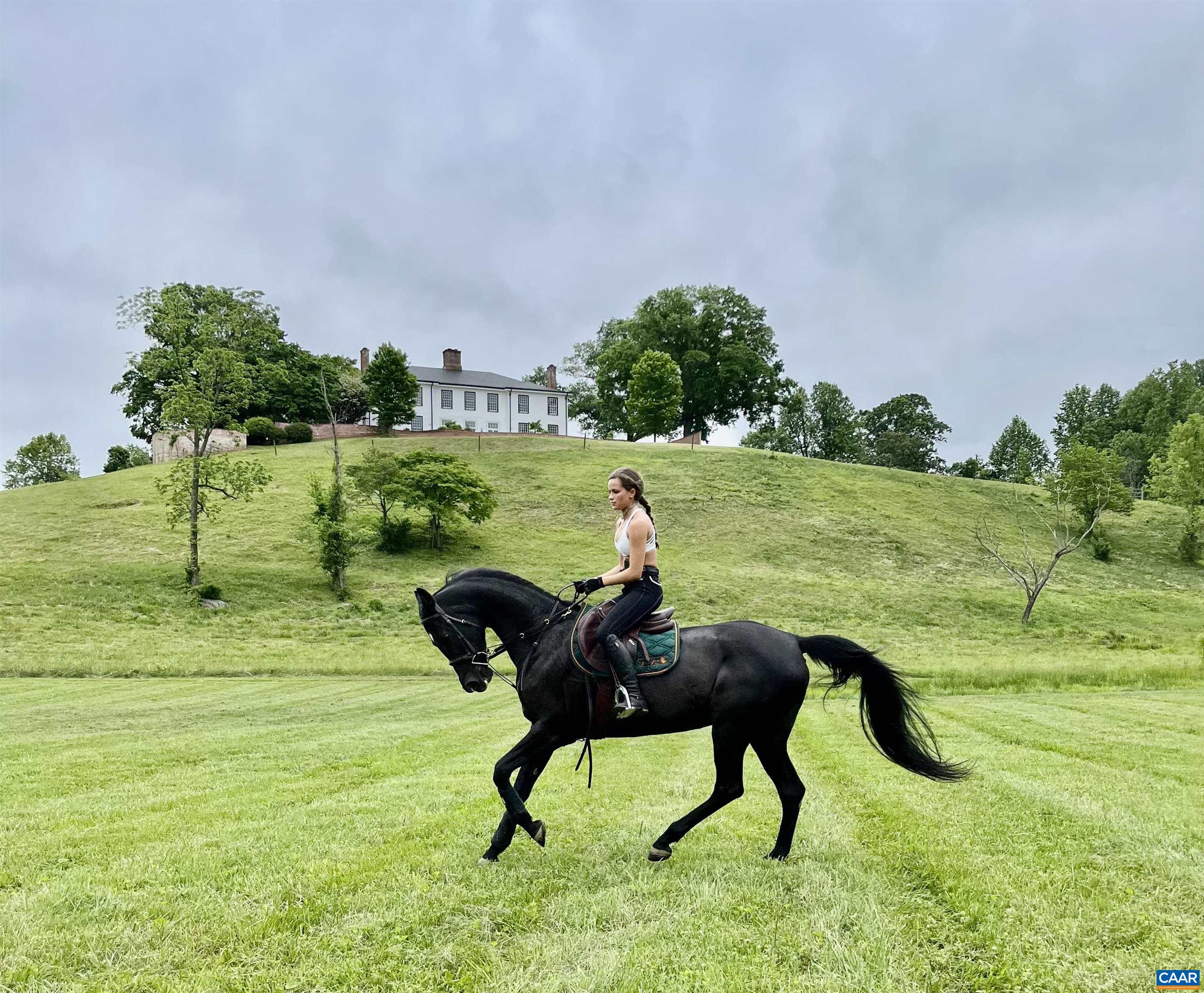 1859 RIVANNA FARM