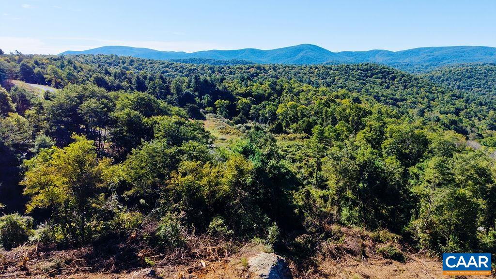 Lot 1 TWELVE RIDGES WAY