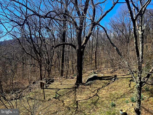 68 CHIMNEY HOLLOW RD