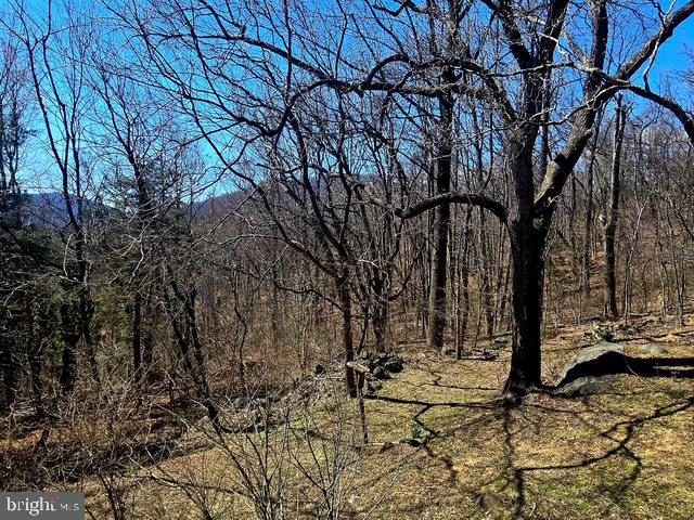 68 CHIMNEY HOLLOW RD