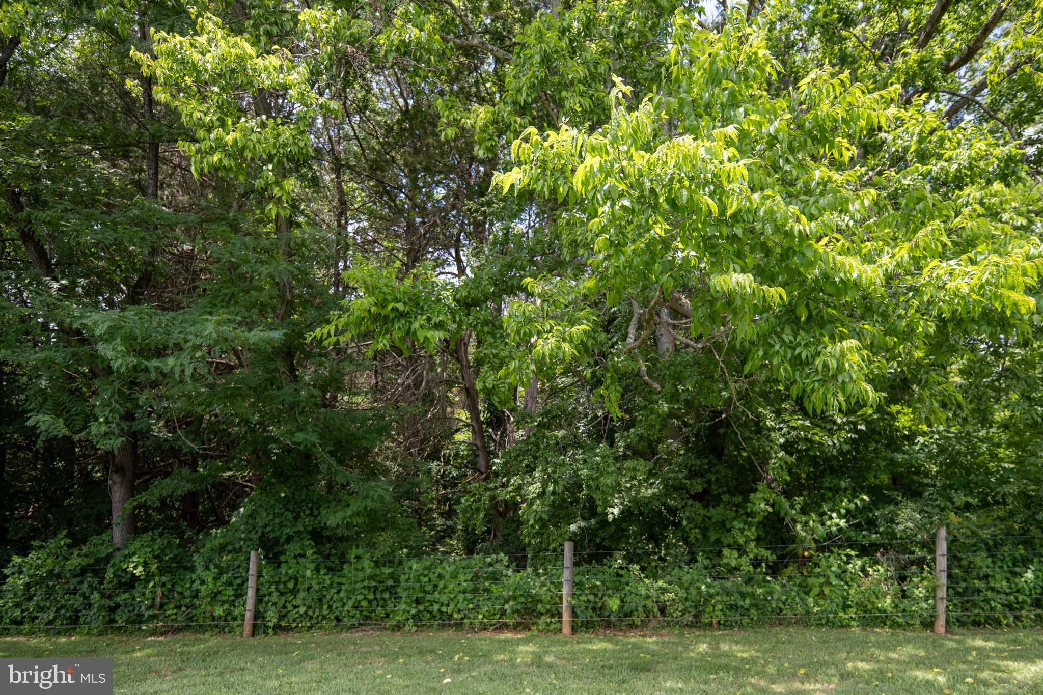 24050 LAHORE ROAD