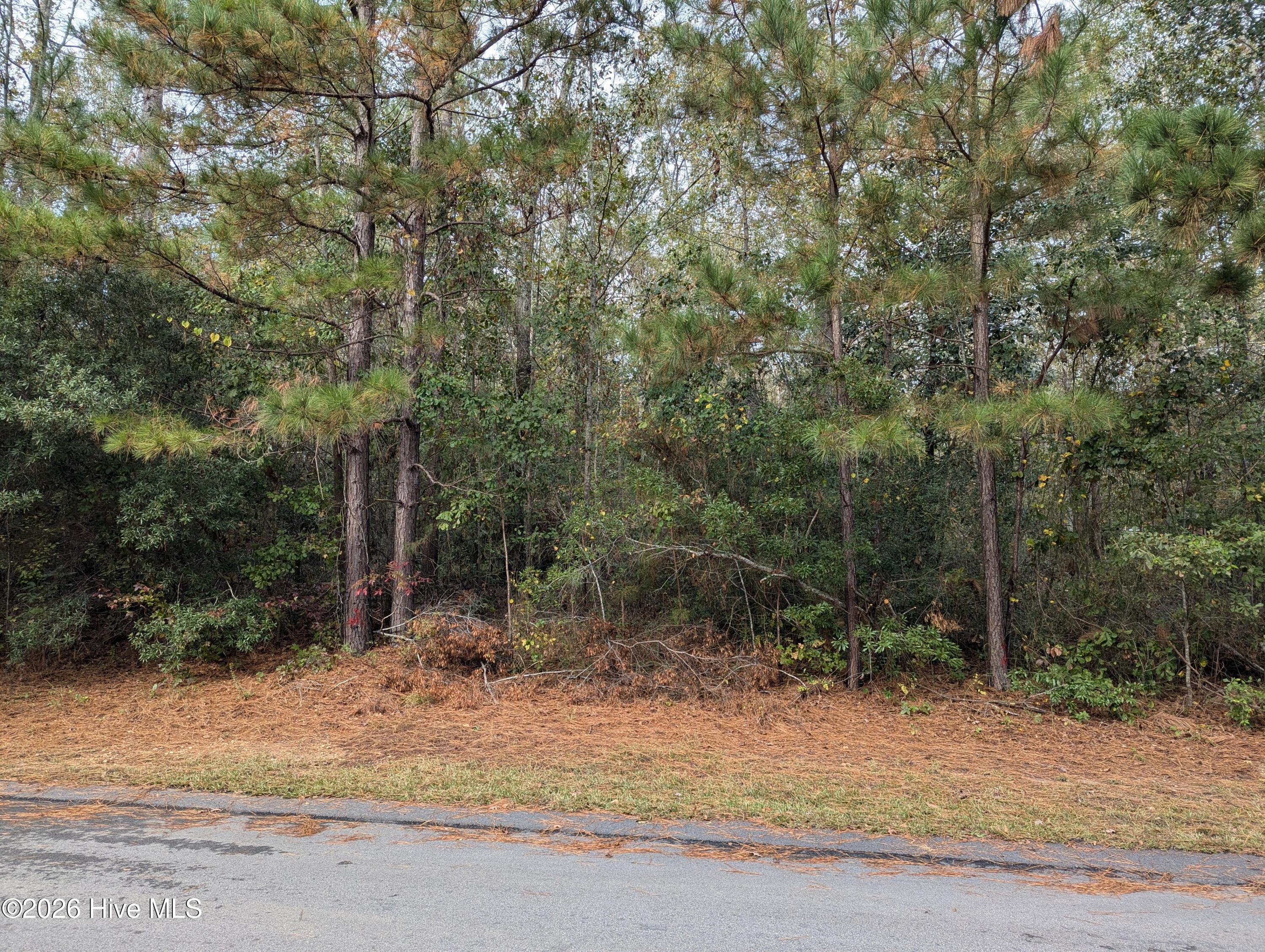 0 Summercreek Drive