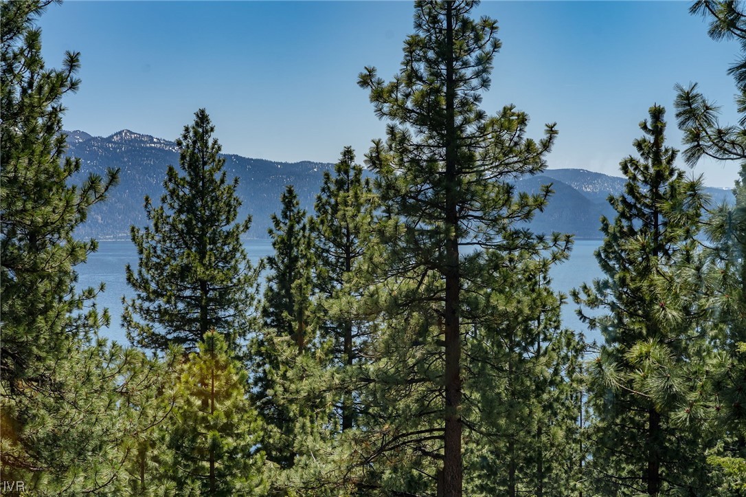 535 Knotty Pine Drive