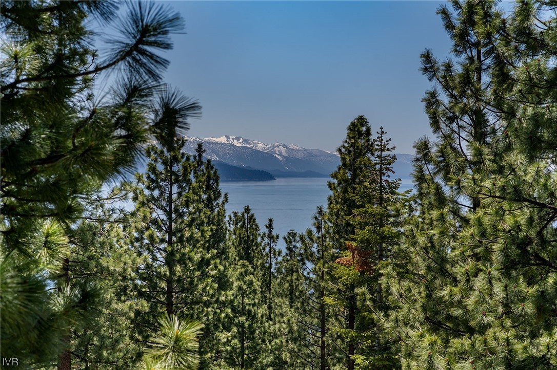 535 Knotty Pine Drive