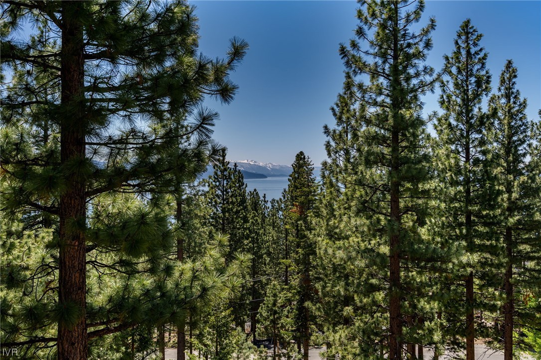 535 Knotty Pine Drive