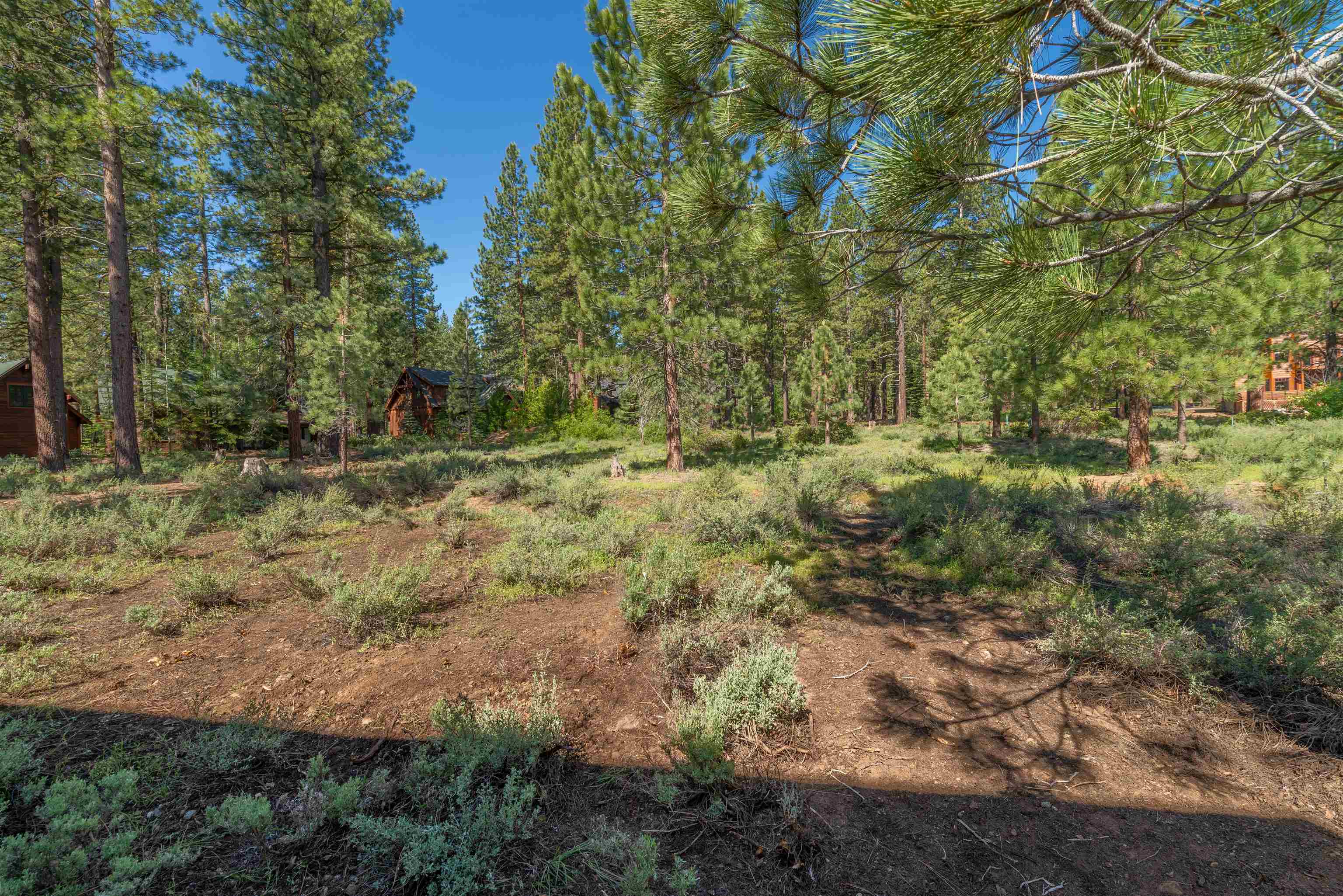 11288 Wolverine Circle