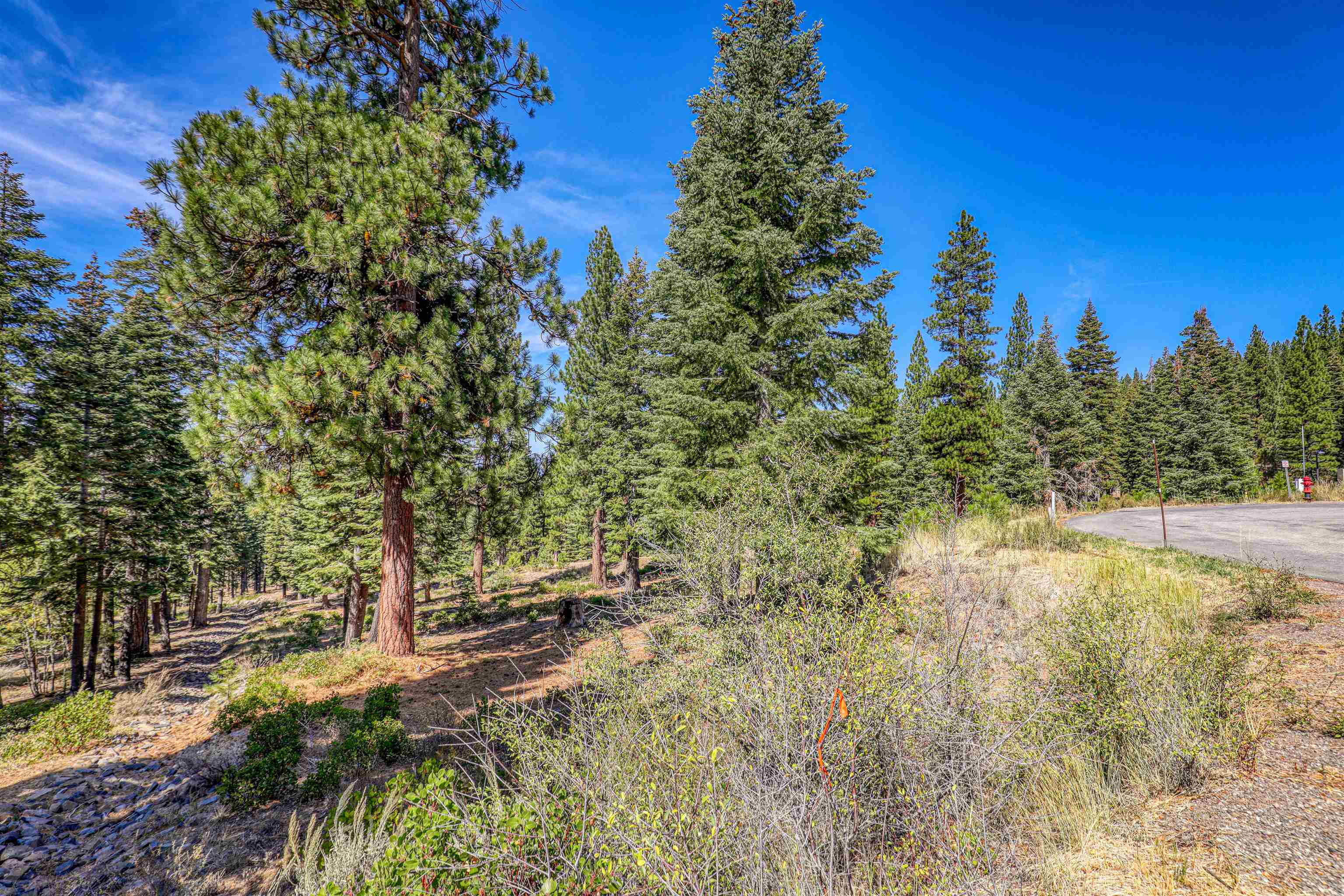 2785 Cross Cut Court
