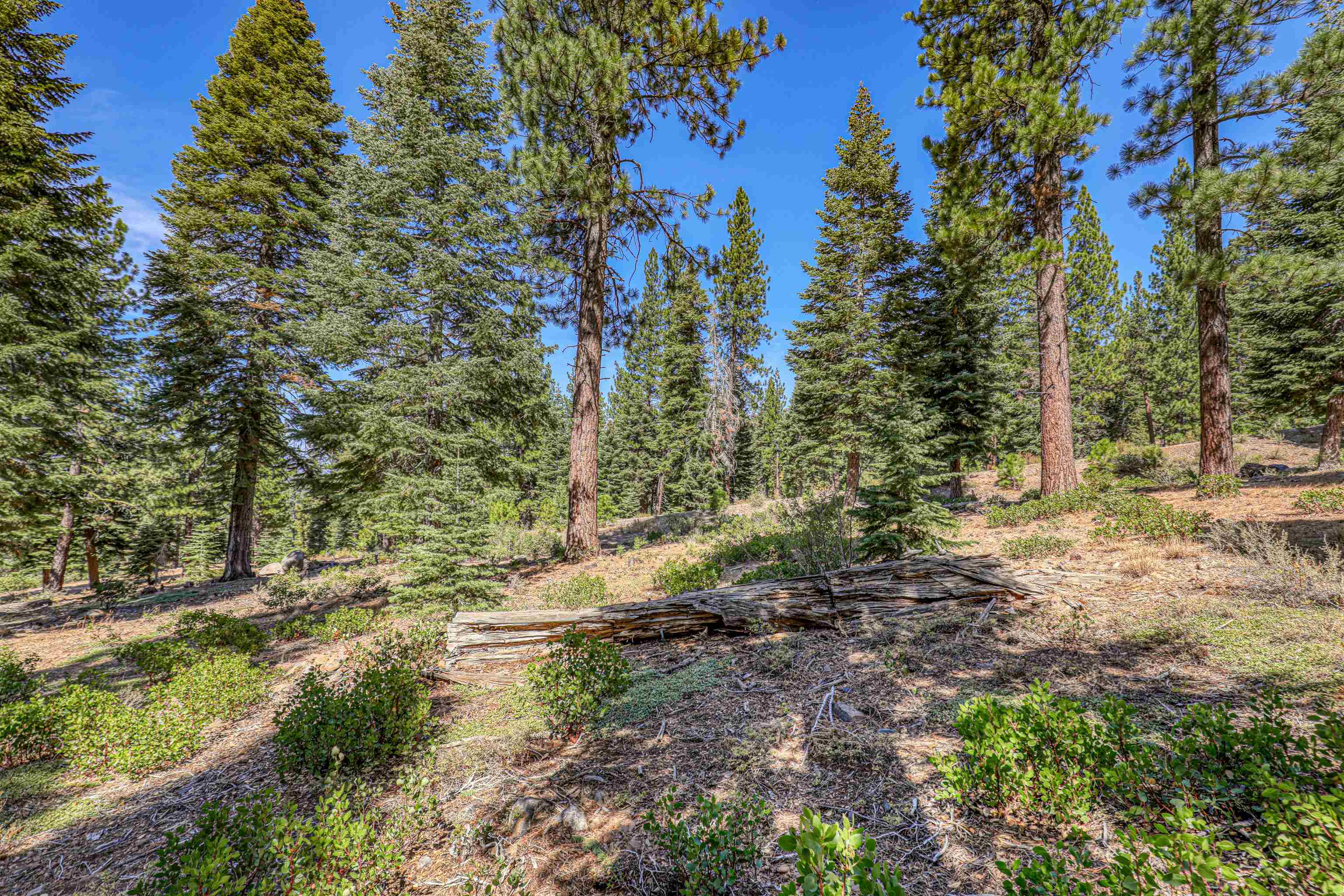 2785 Cross Cut Court