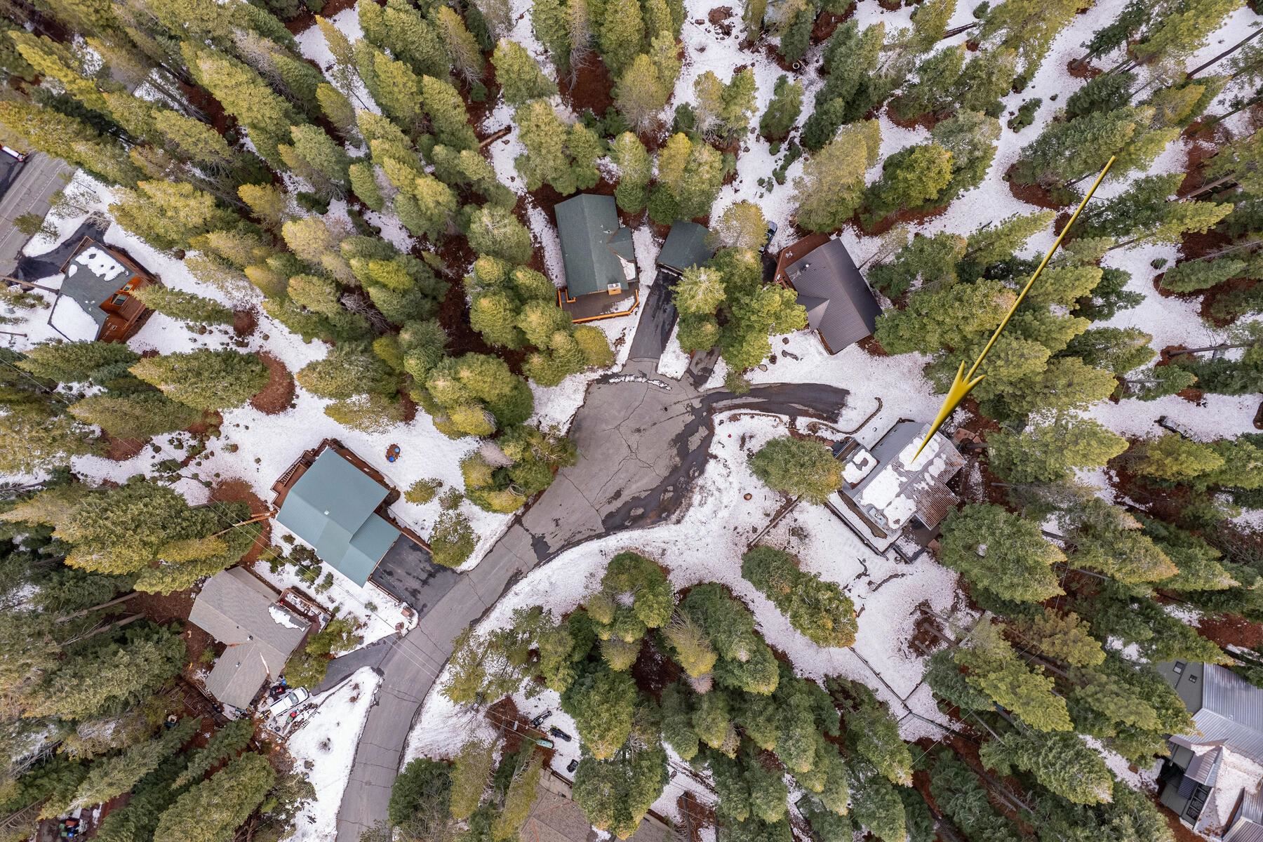 10529 Crocus Court