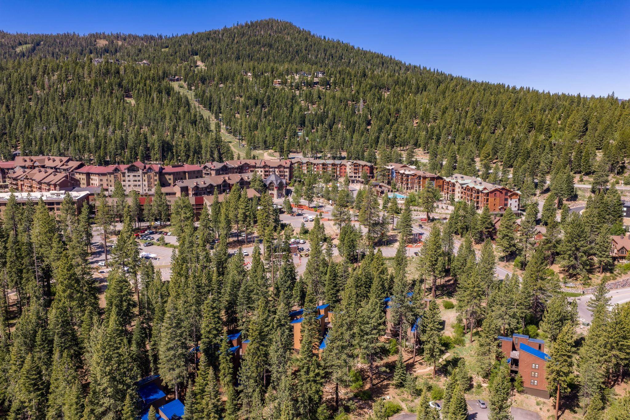 3147 Aspen Grove