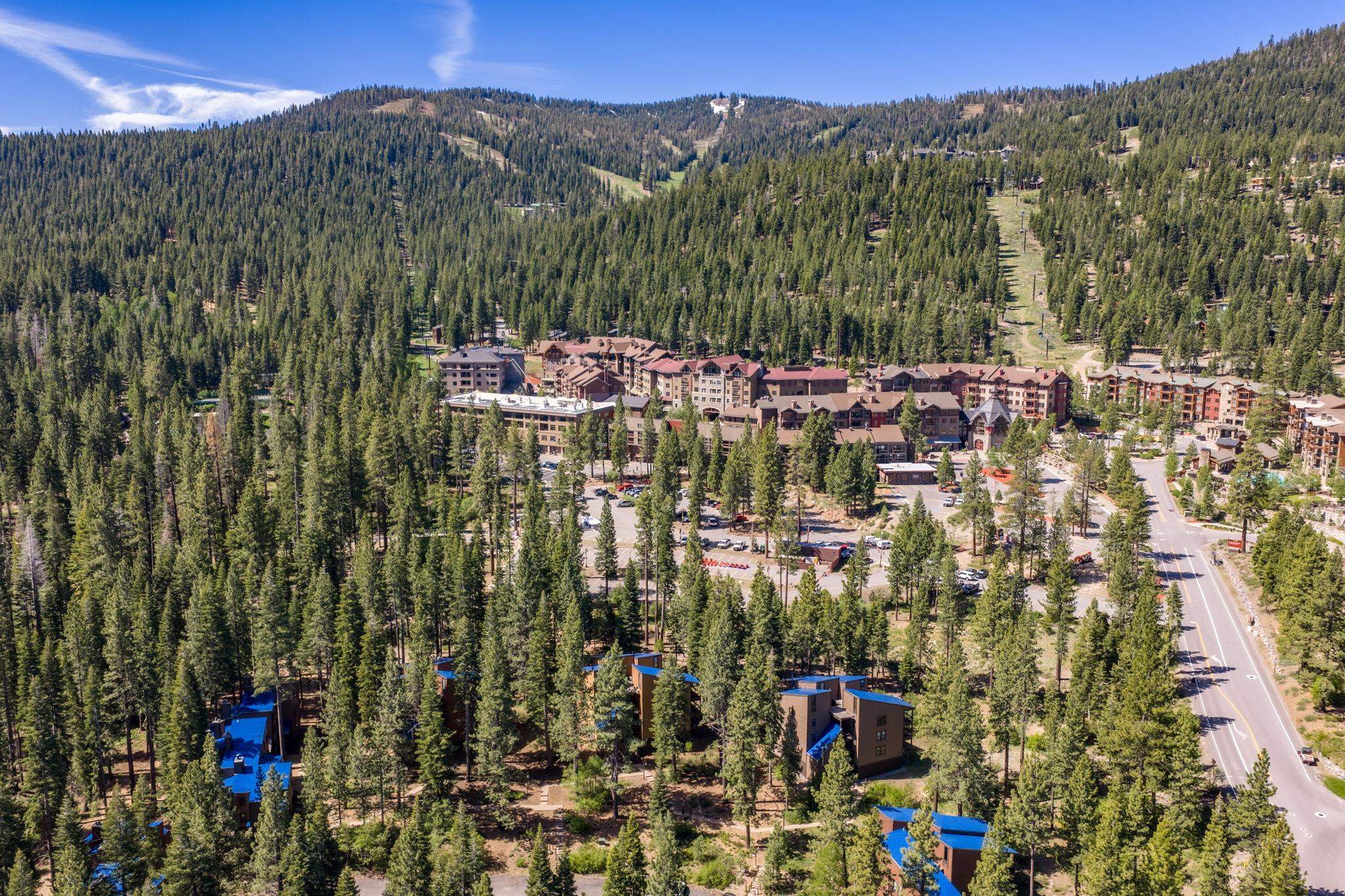 3147 Aspen Grove