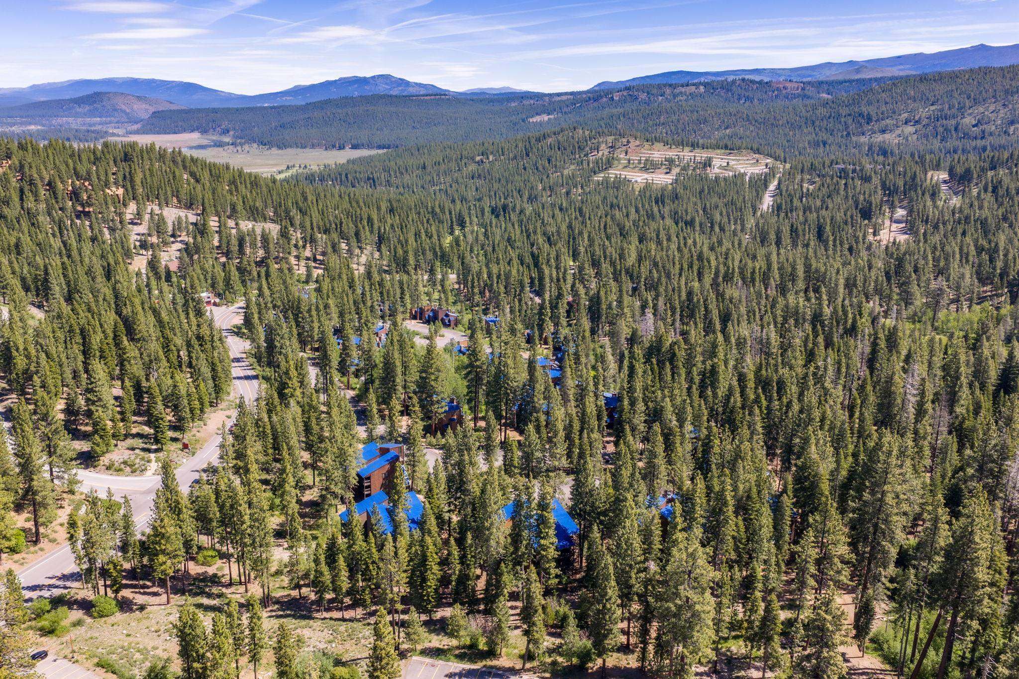 3147 Aspen Grove