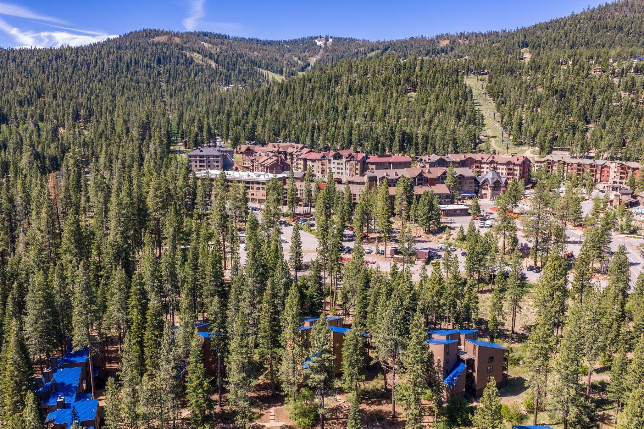 3147 Aspen Grove