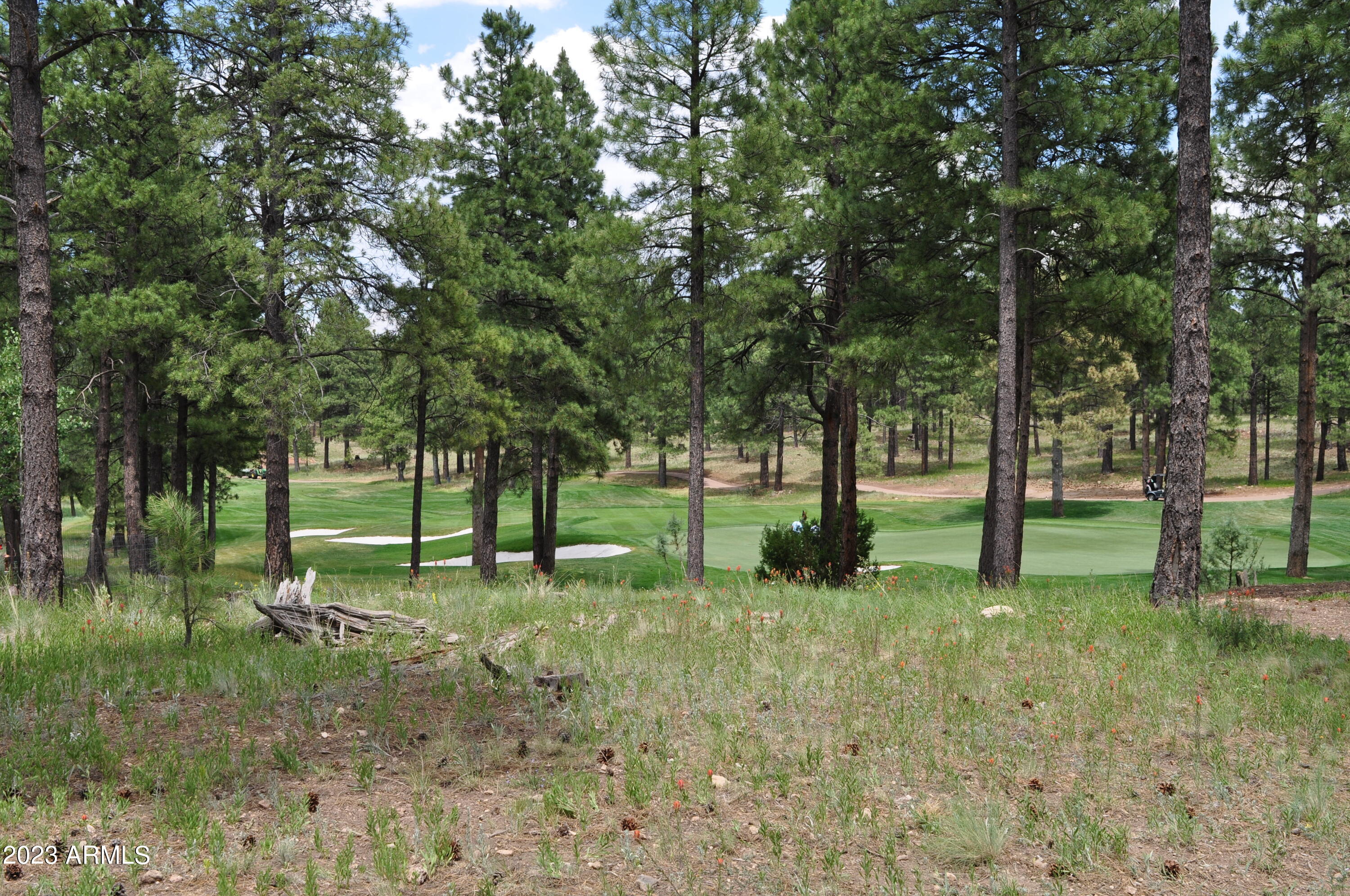 2000 E Del Rae Drive Unit: 223