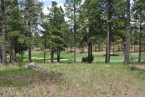 2000 E Del Rae Drive Unit: 223