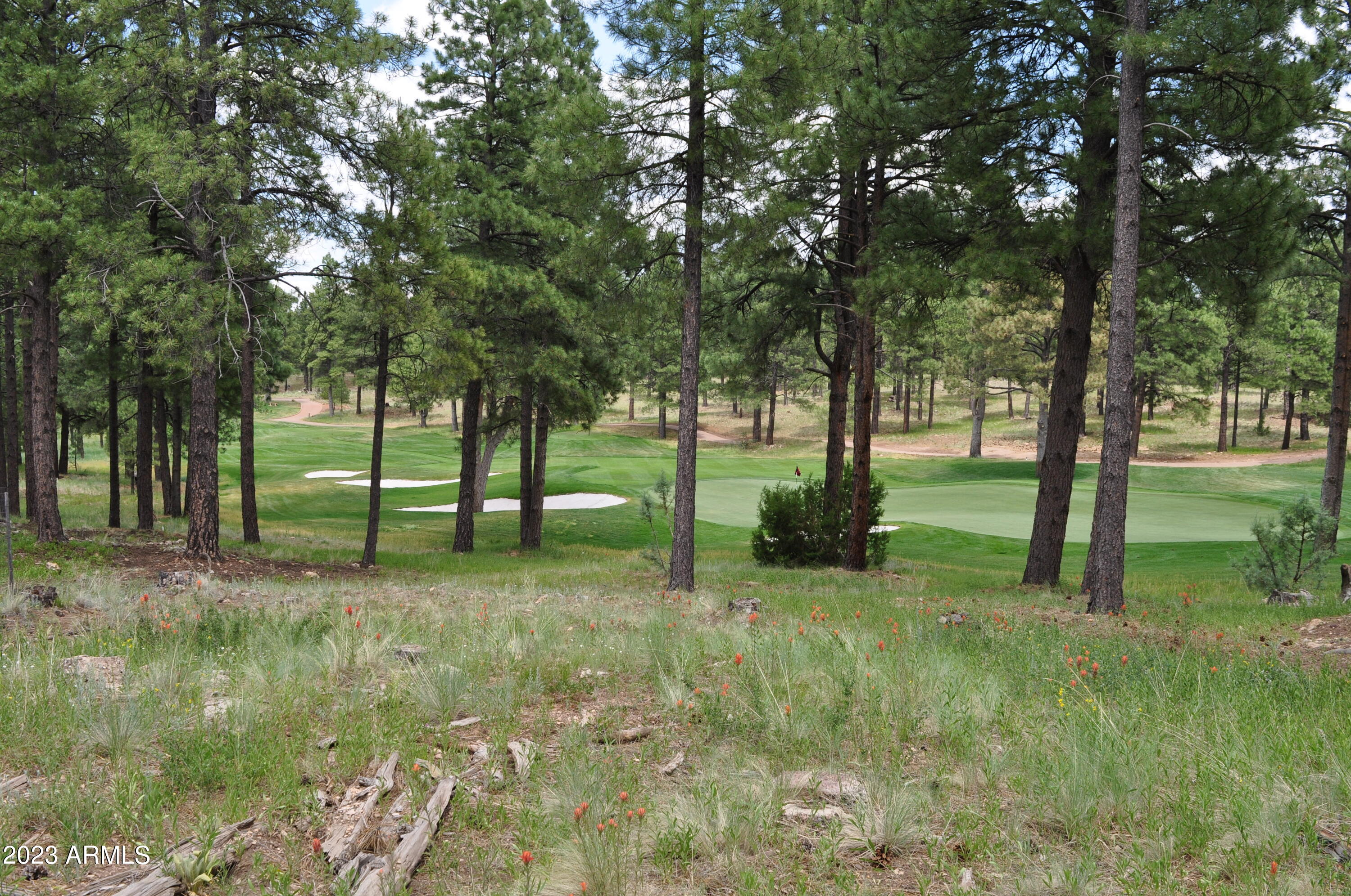 2000 E Del Rae Drive Unit: 223