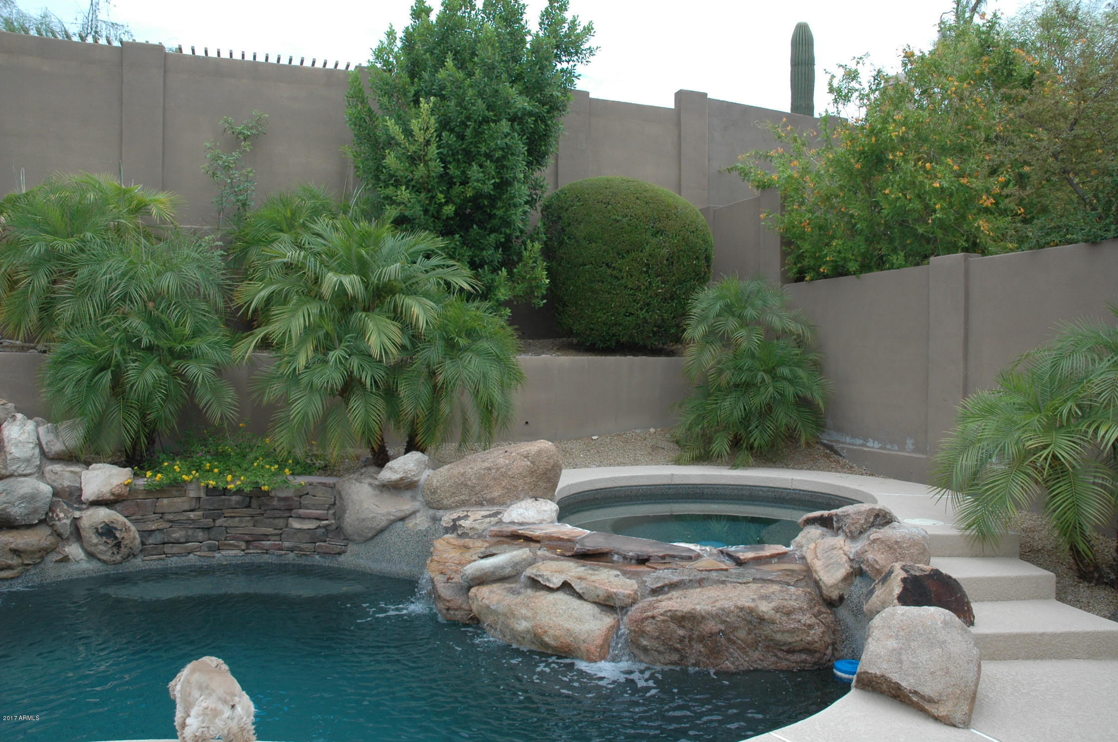 11416 E AUTUMN SAGE Drive