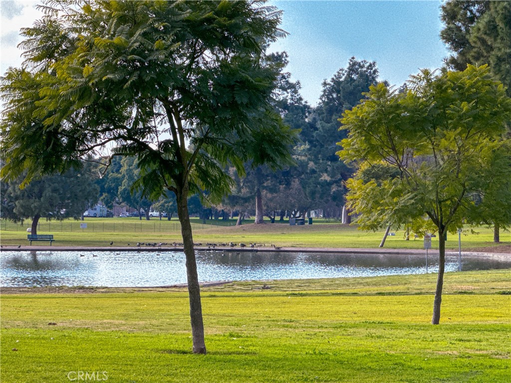 3838 Conquista Avenue