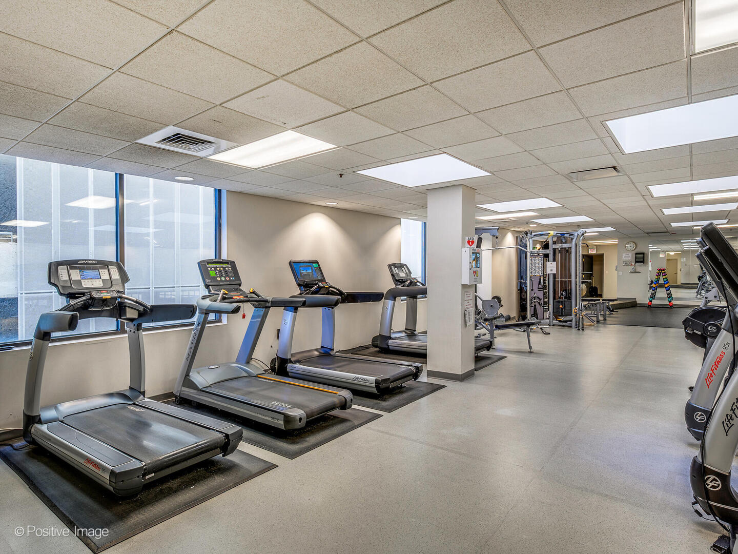 910 S Michigan Avenue Unit: 1002