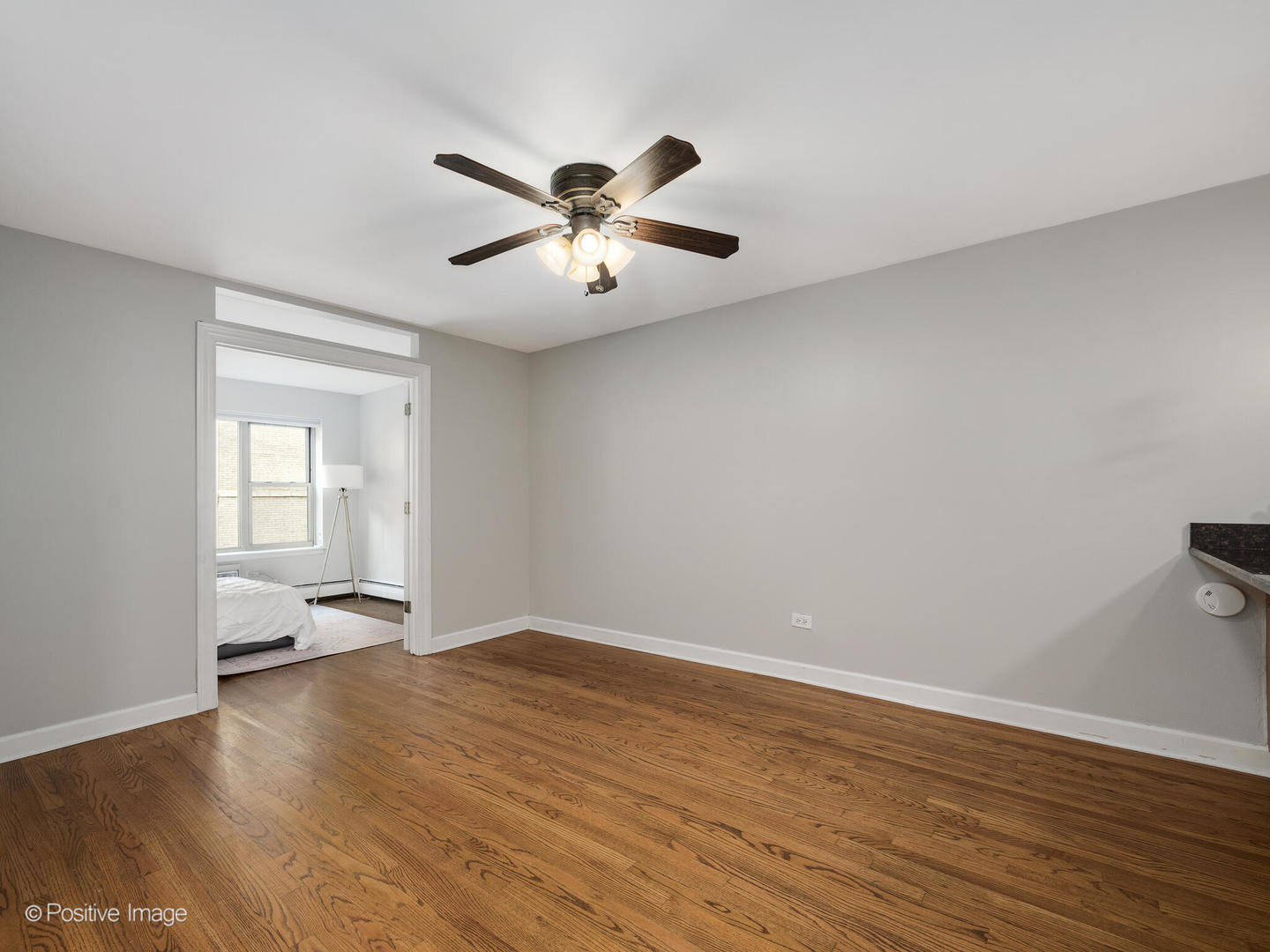 420 W Aldine Avenue Unit: 401