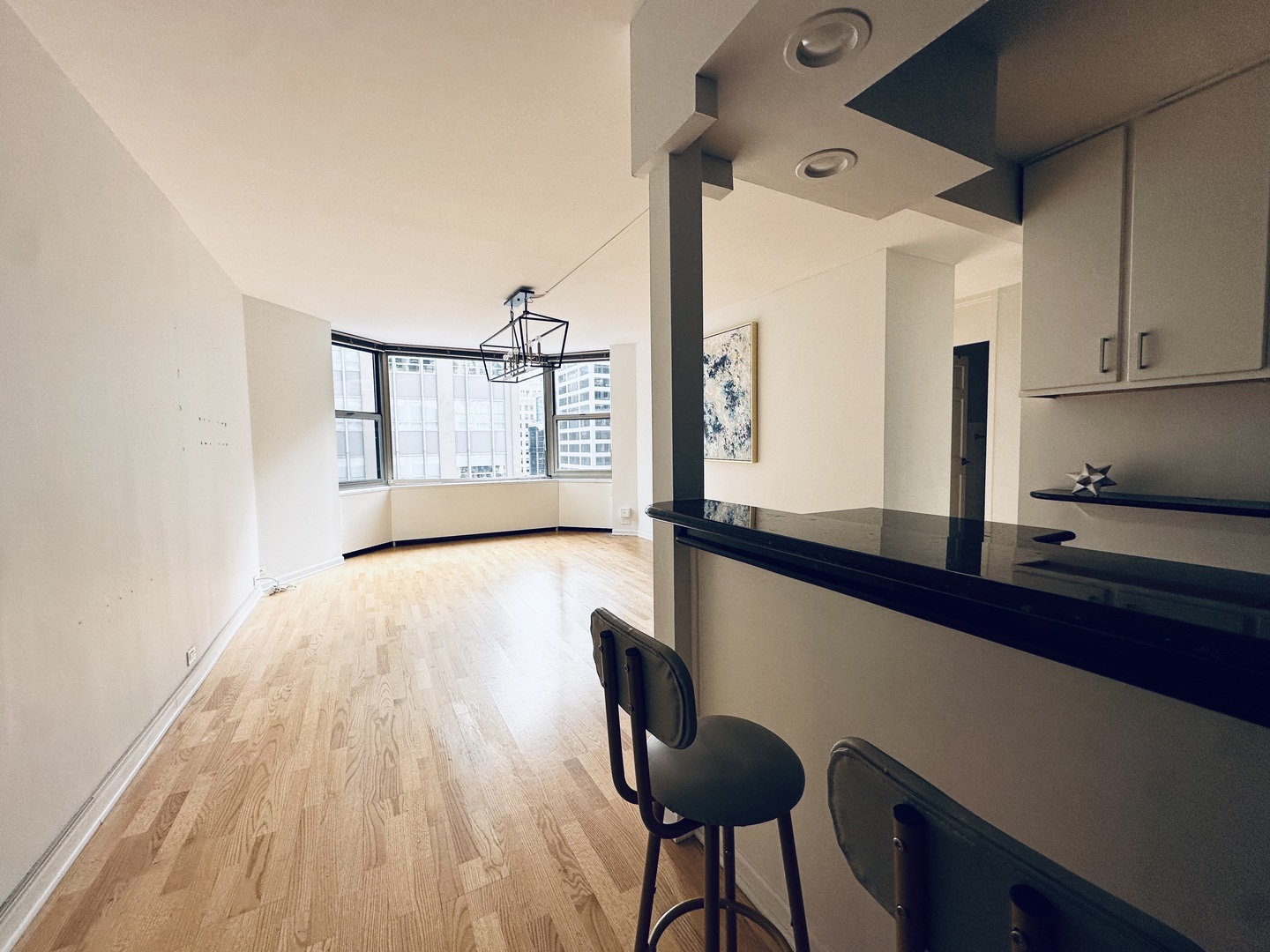 535 N Michigan Avenue Unit: 1701