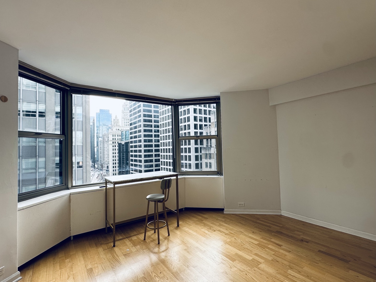 535 N Michigan Avenue Unit: 1701