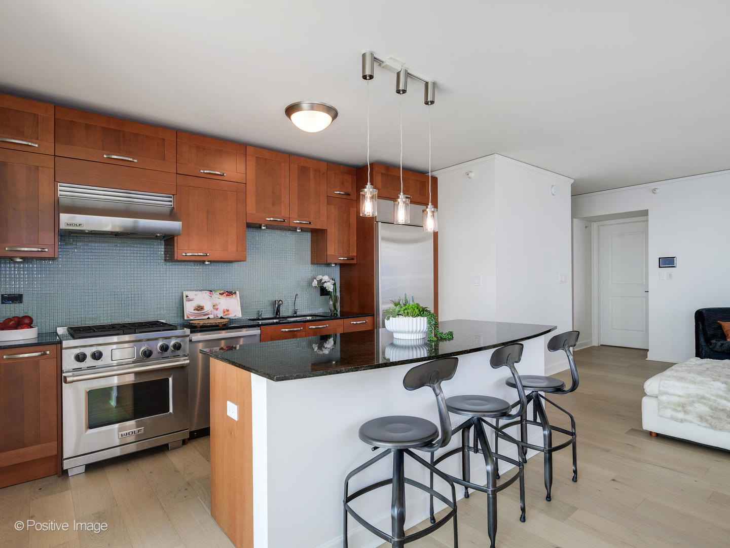 225 N Columbus Drive Unit: 6301