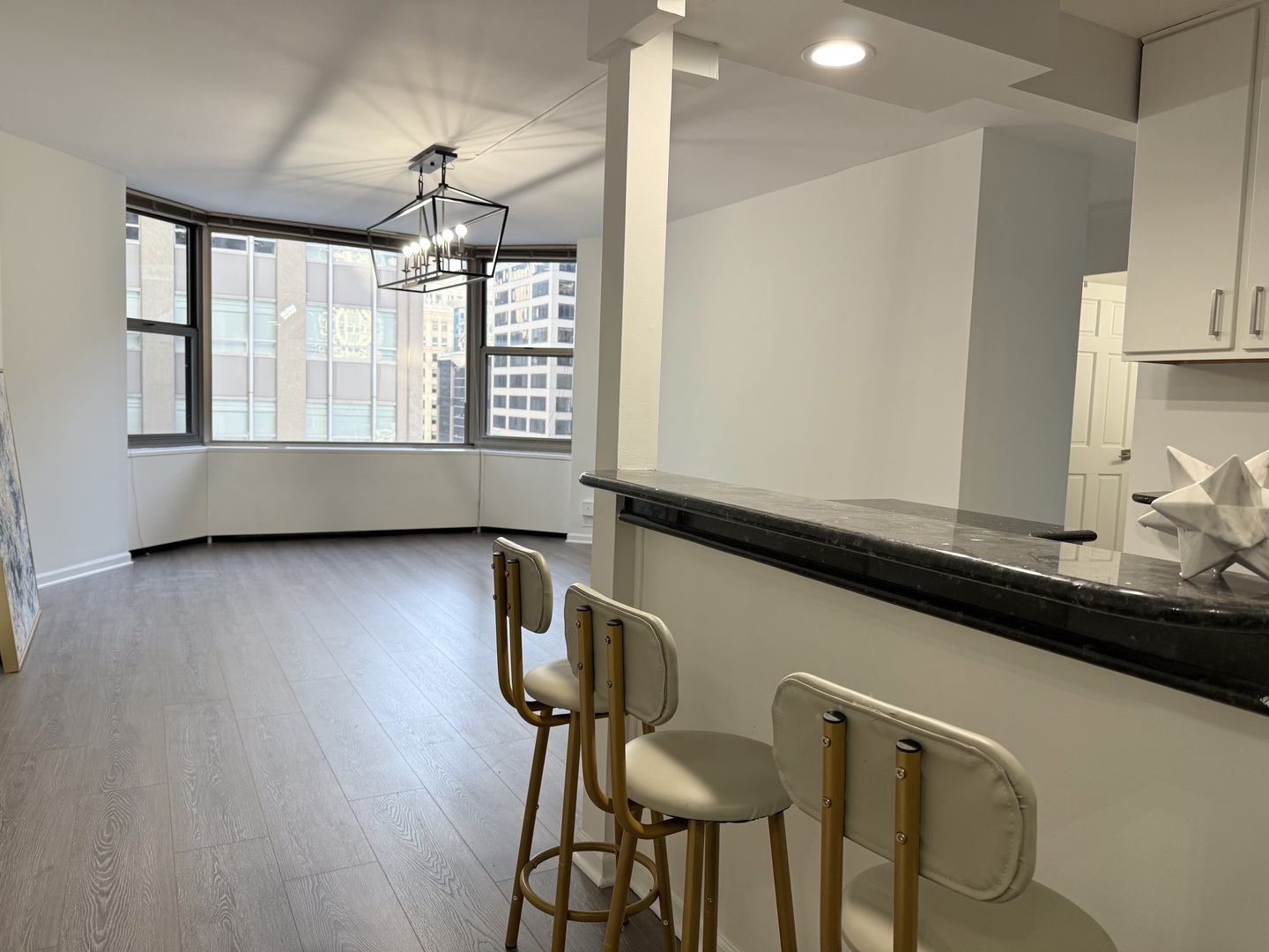 535 N Michigan Avenue Unit: 1701