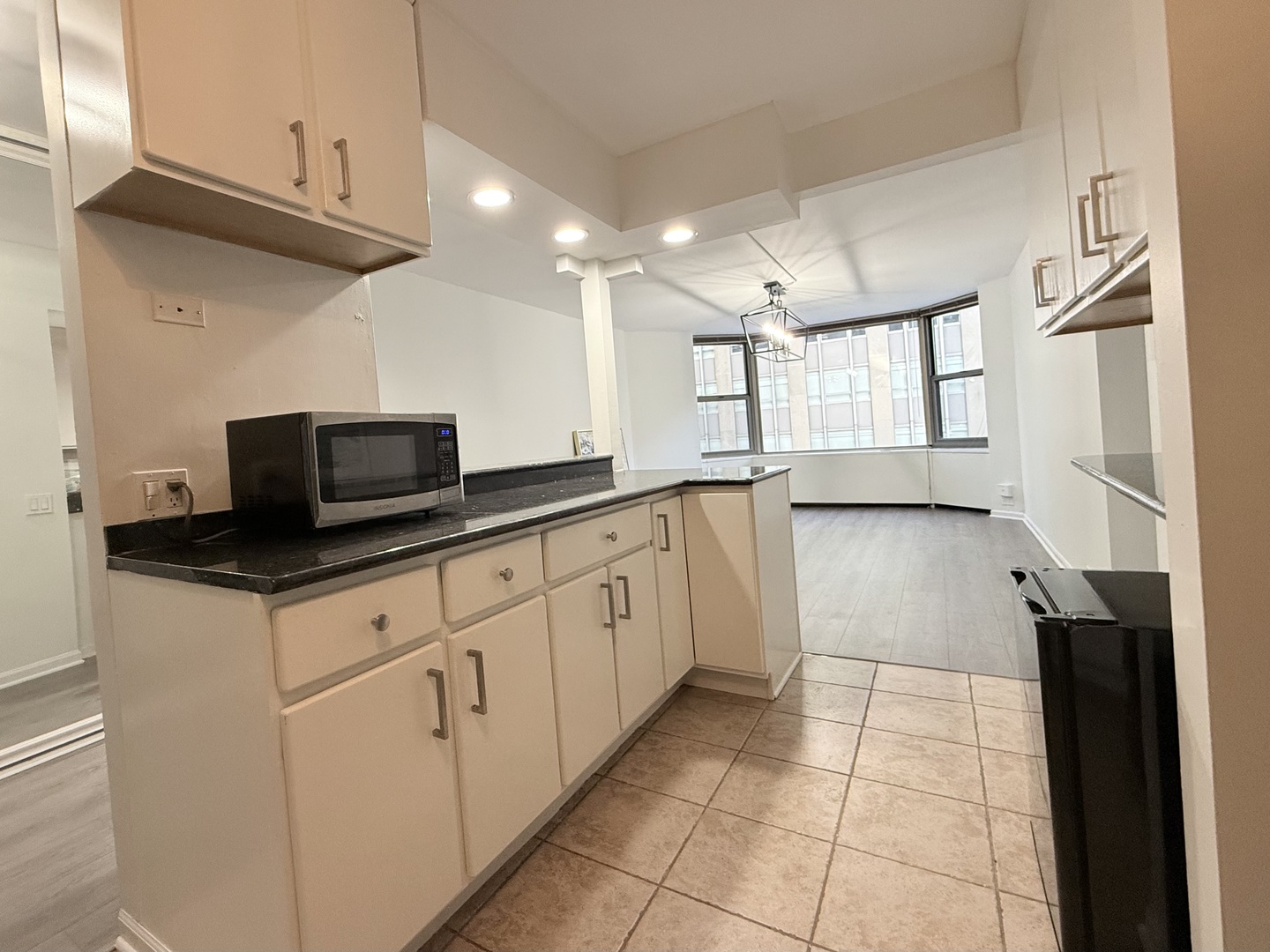 535 N Michigan Avenue Unit: 1701
