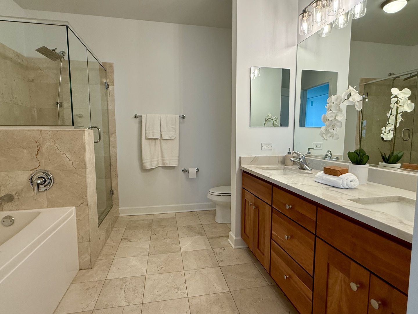 225 N Columbus Drive Unit: 6301