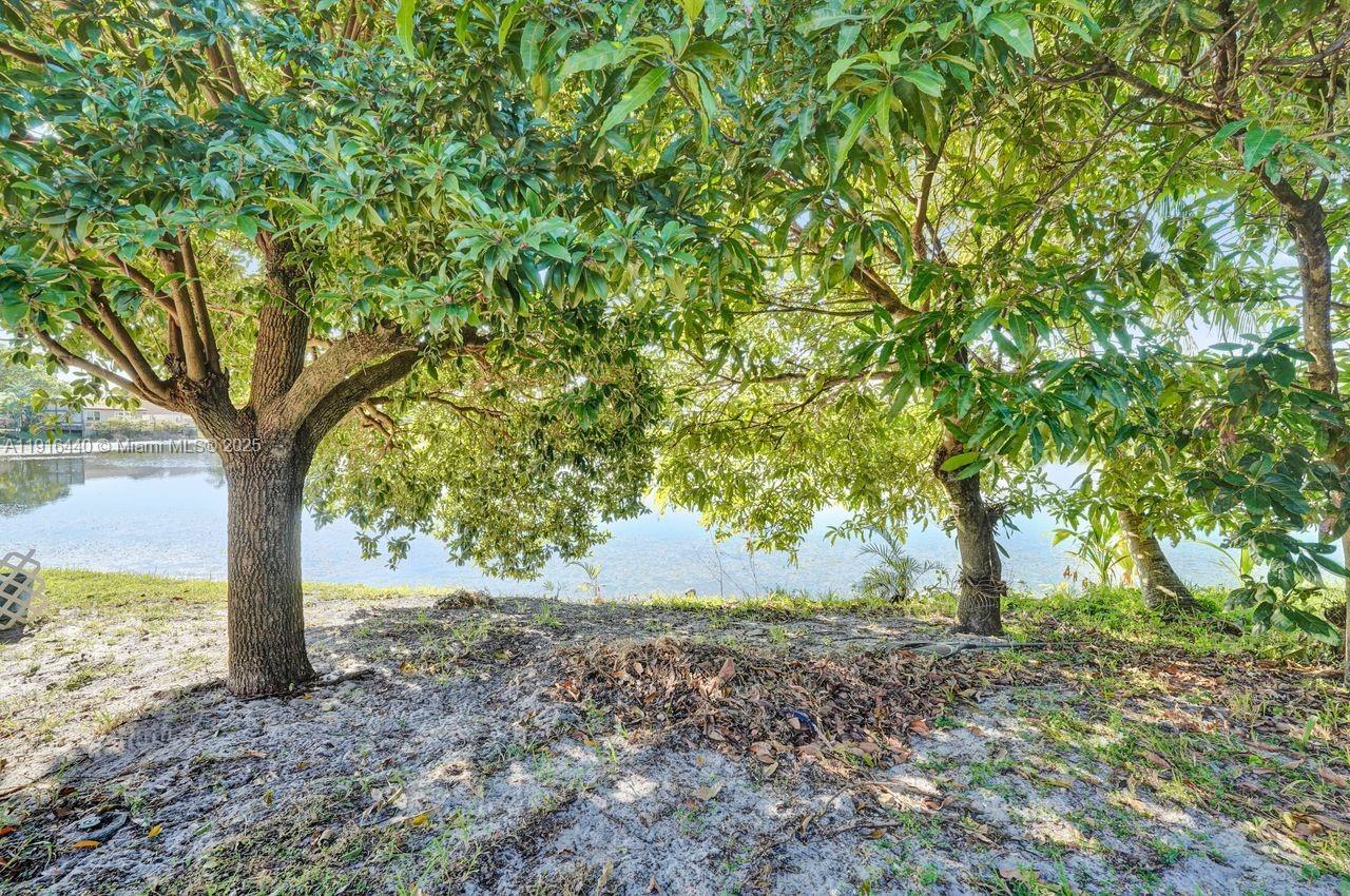 2350 E Lake Miramar Cir