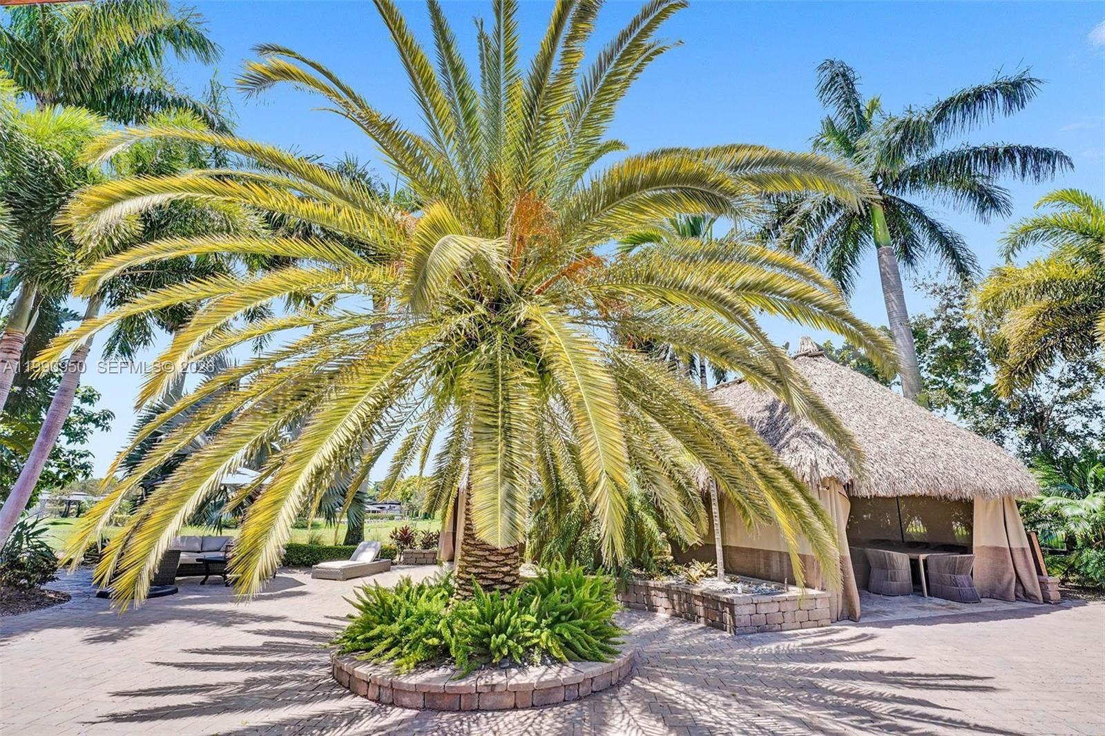 224 N Cortez Dr