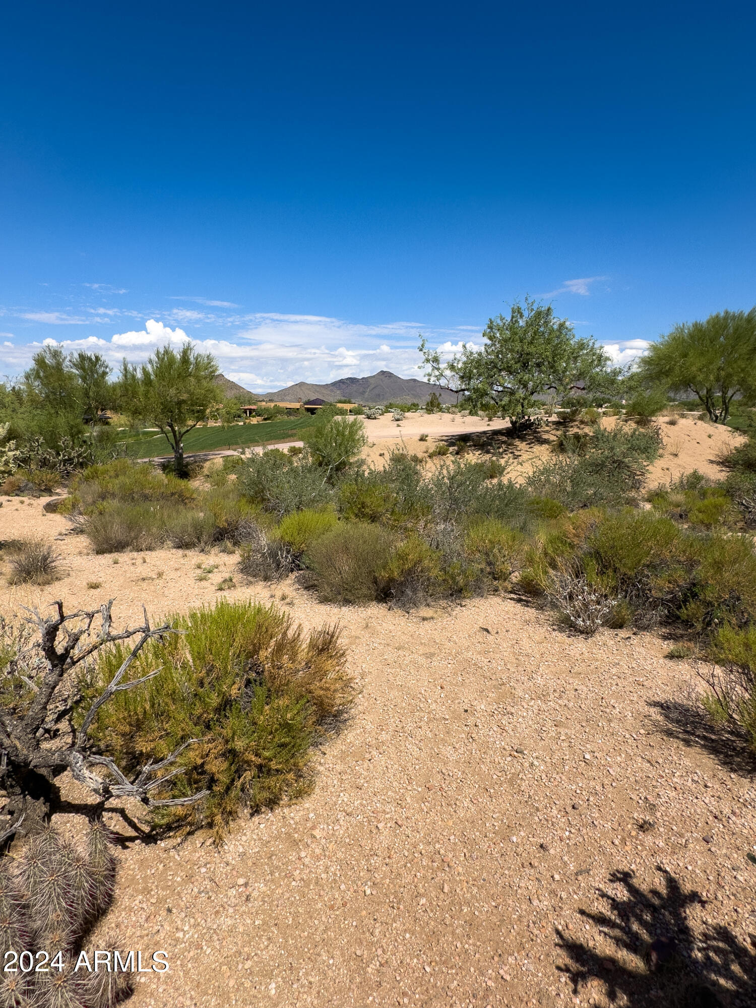 10258 E JOY RANCH Road, 397