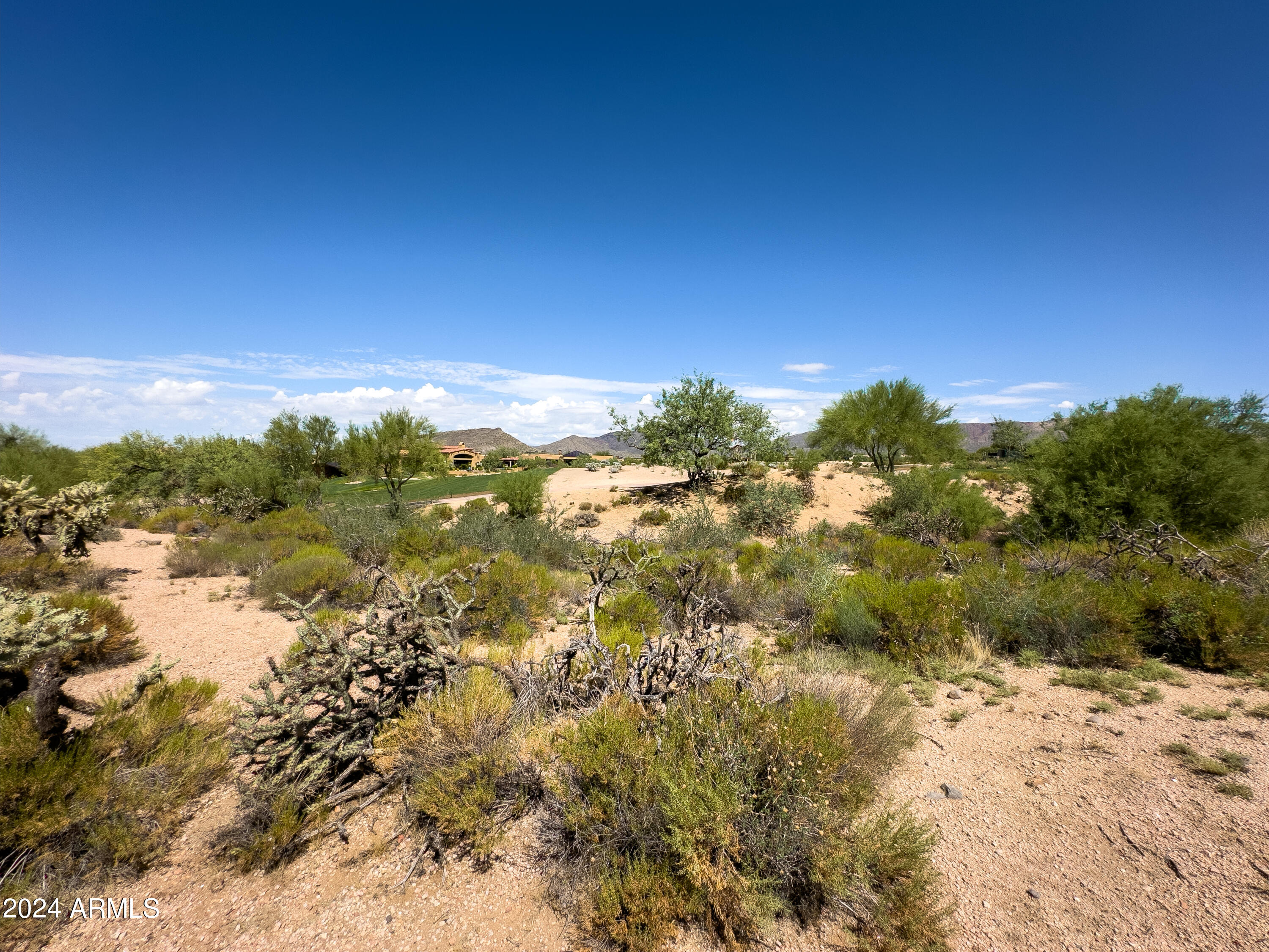 10258 E JOY RANCH Road, 397