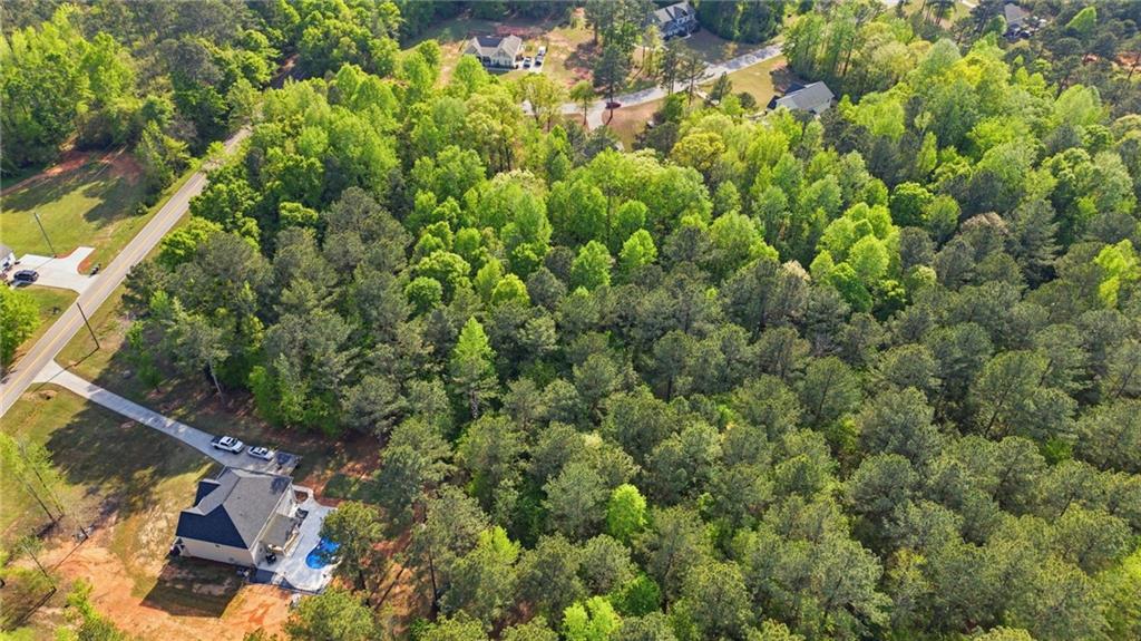 100 Delta Downs Court