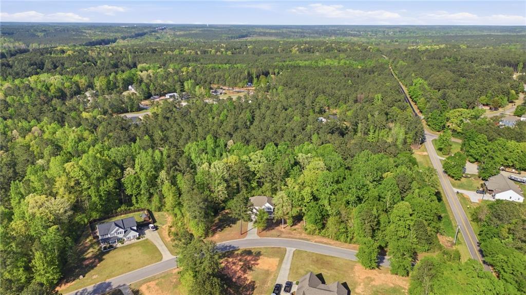 100 Delta Downs Court