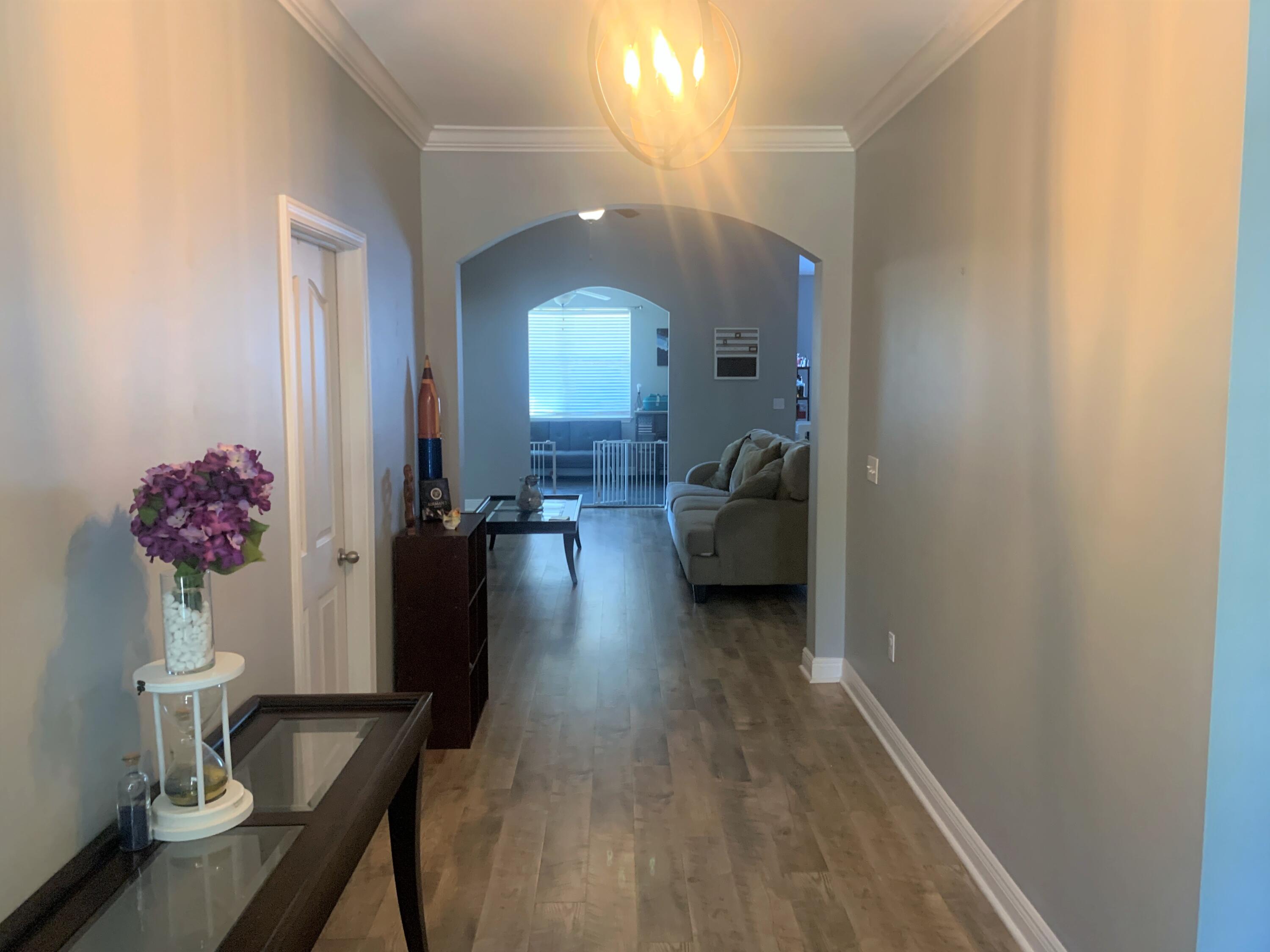 319 Scotch Pine Lane