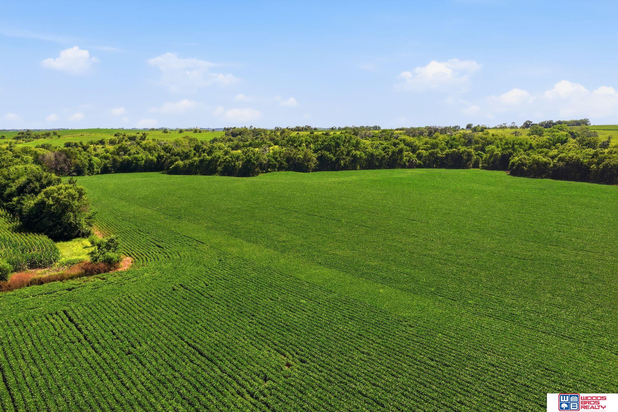 NoSitus McKelvie and 140th - 153 Acres