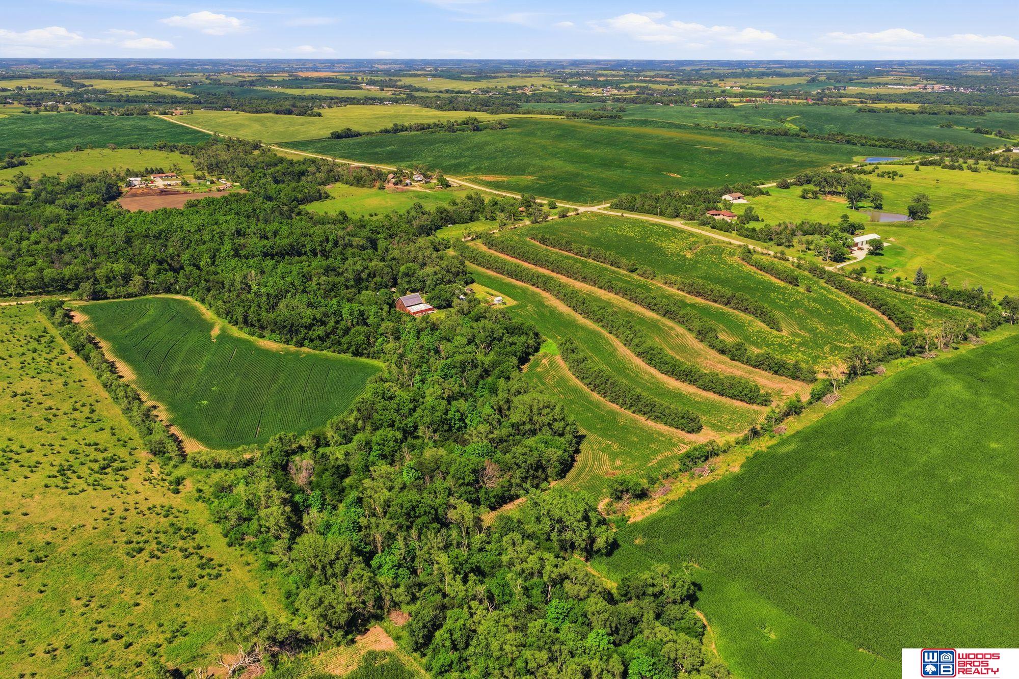 NoSitus McKelvie and 140th - 153 Acres