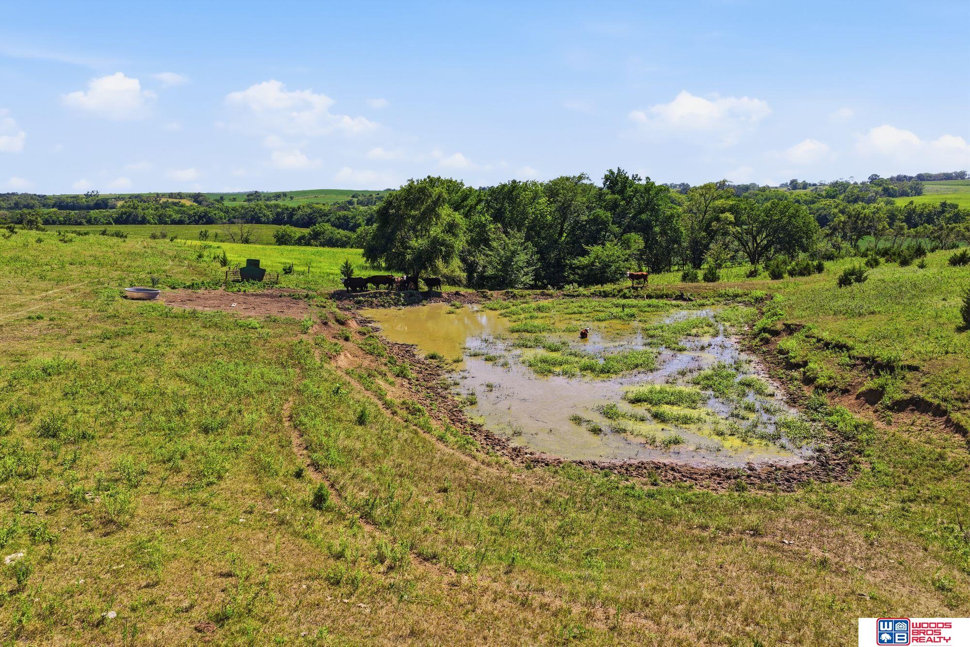 NoSitus McKelvie and 140th - 153 Acres