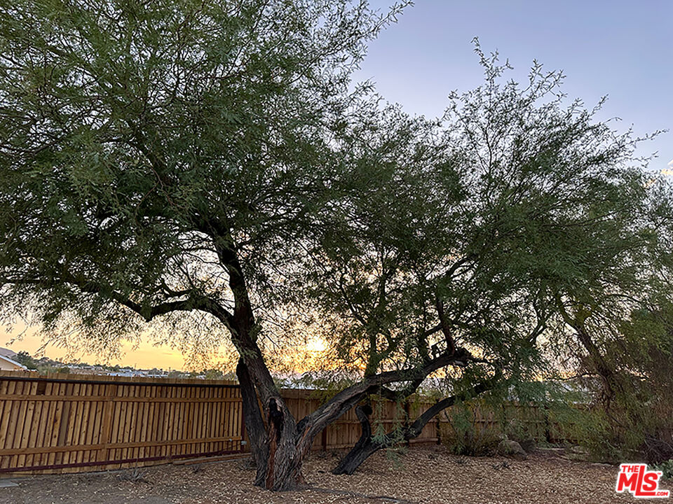 61941 Mountain View Cir