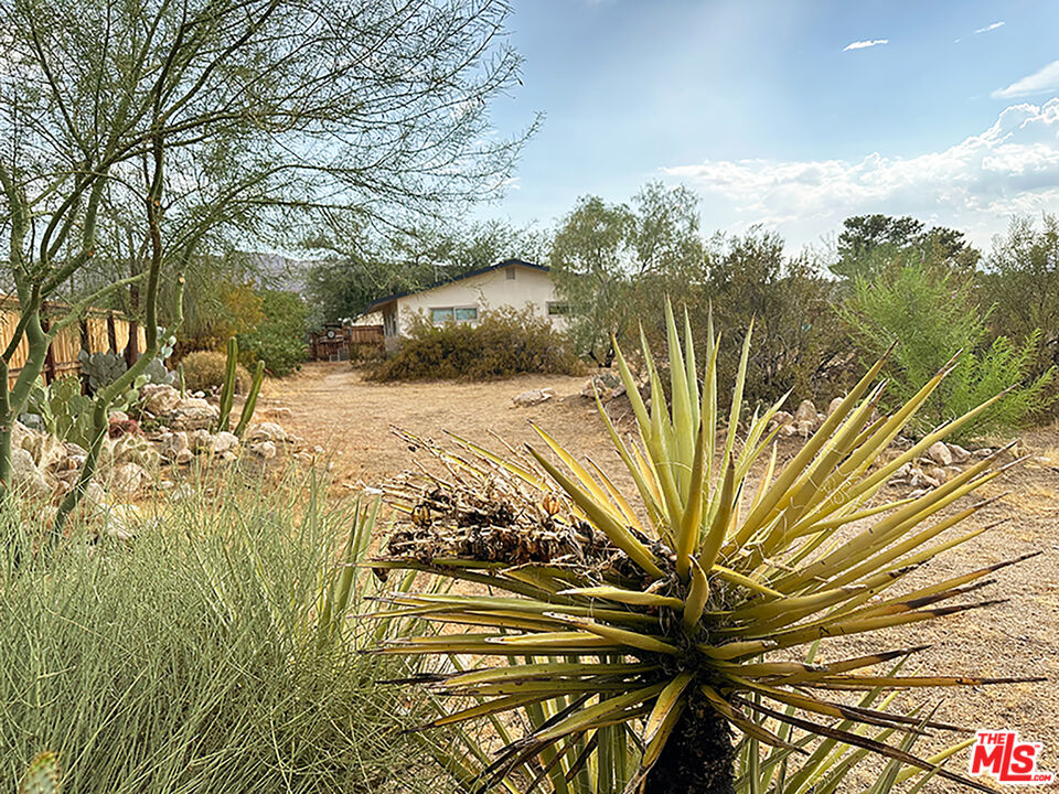 61941 Mountain View Cir