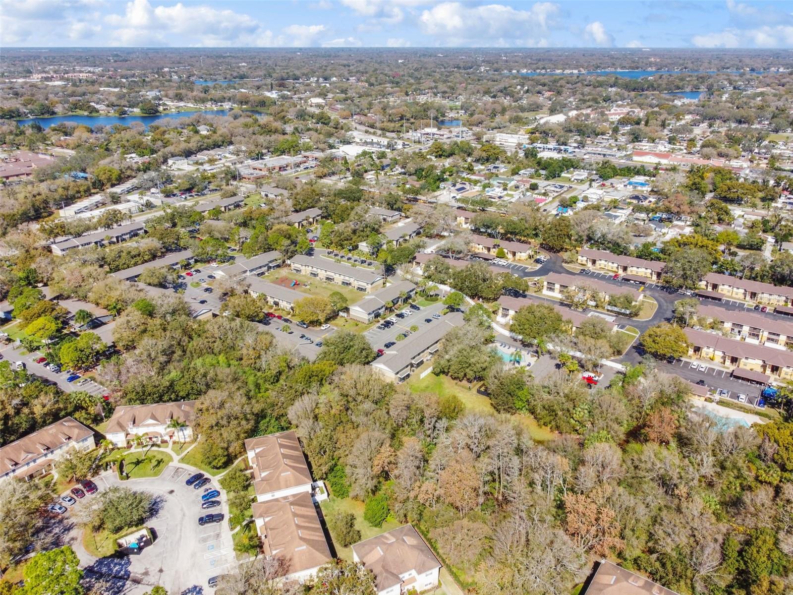 2035 FIESTA RIDGE CT