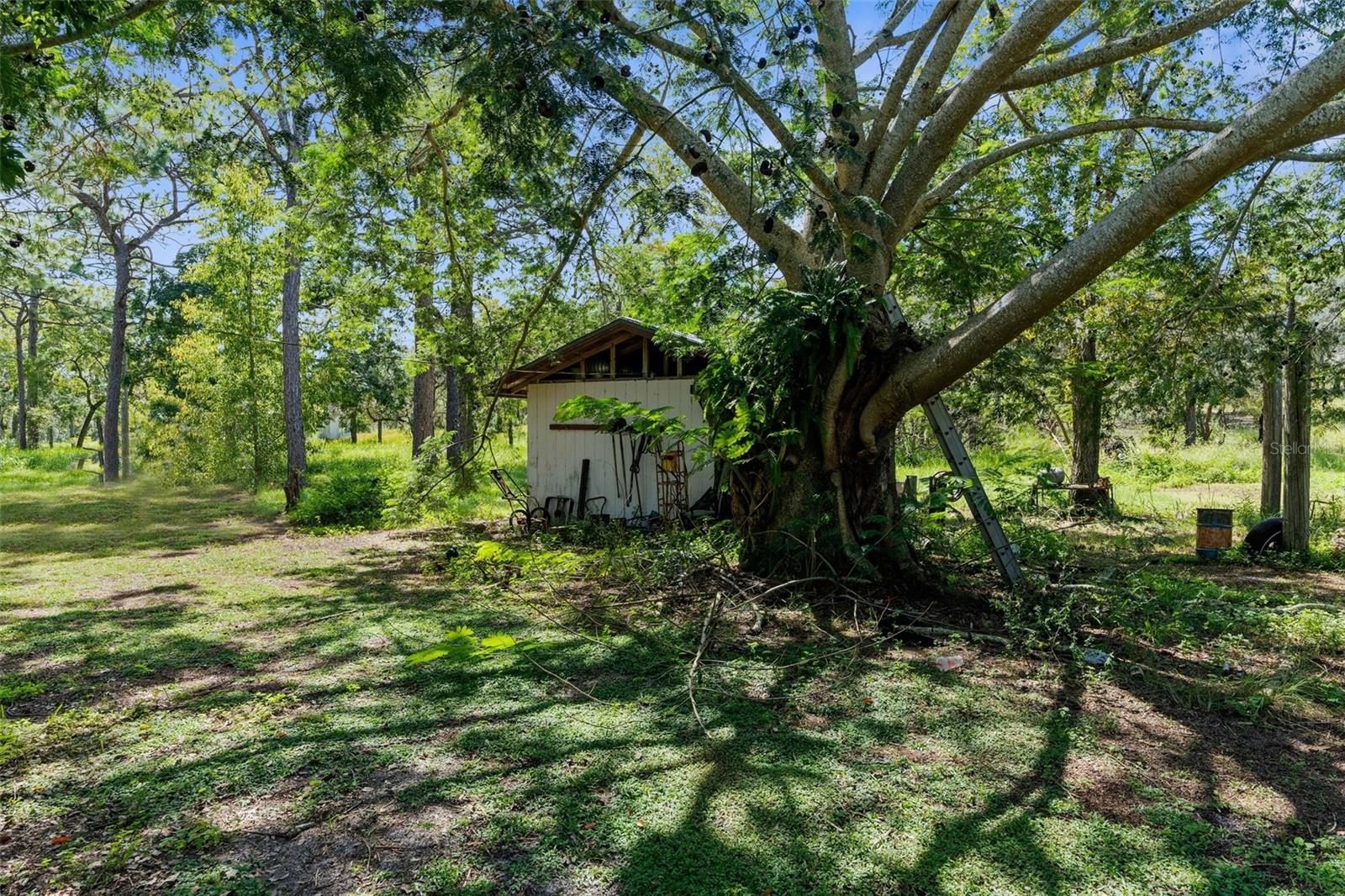 12908 KODIAK AVE