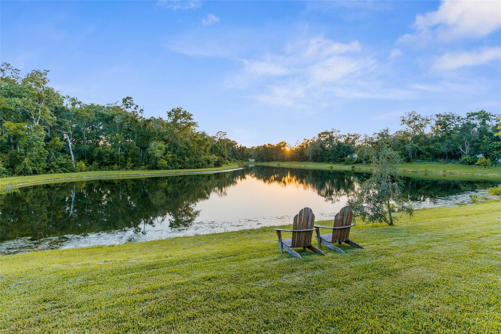 11597 WEAVER HOLLOW RD