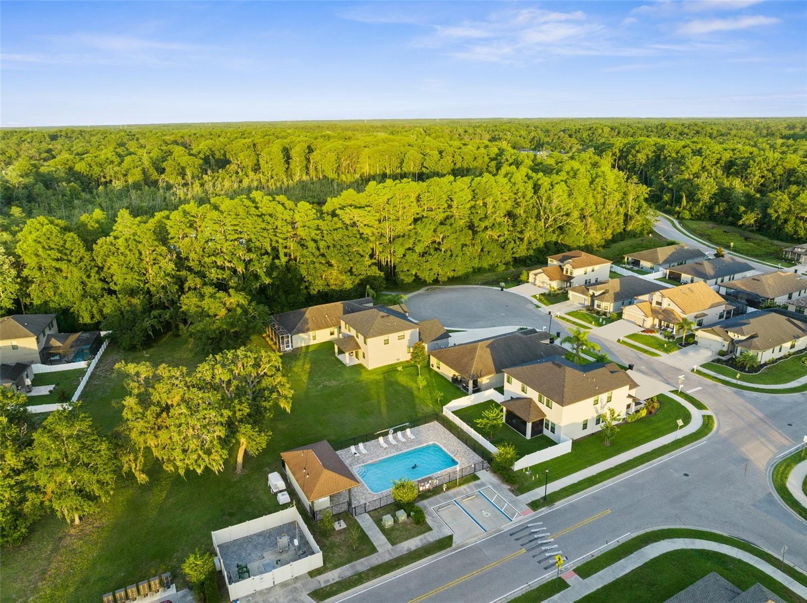11597 WEAVER HOLLOW RD
