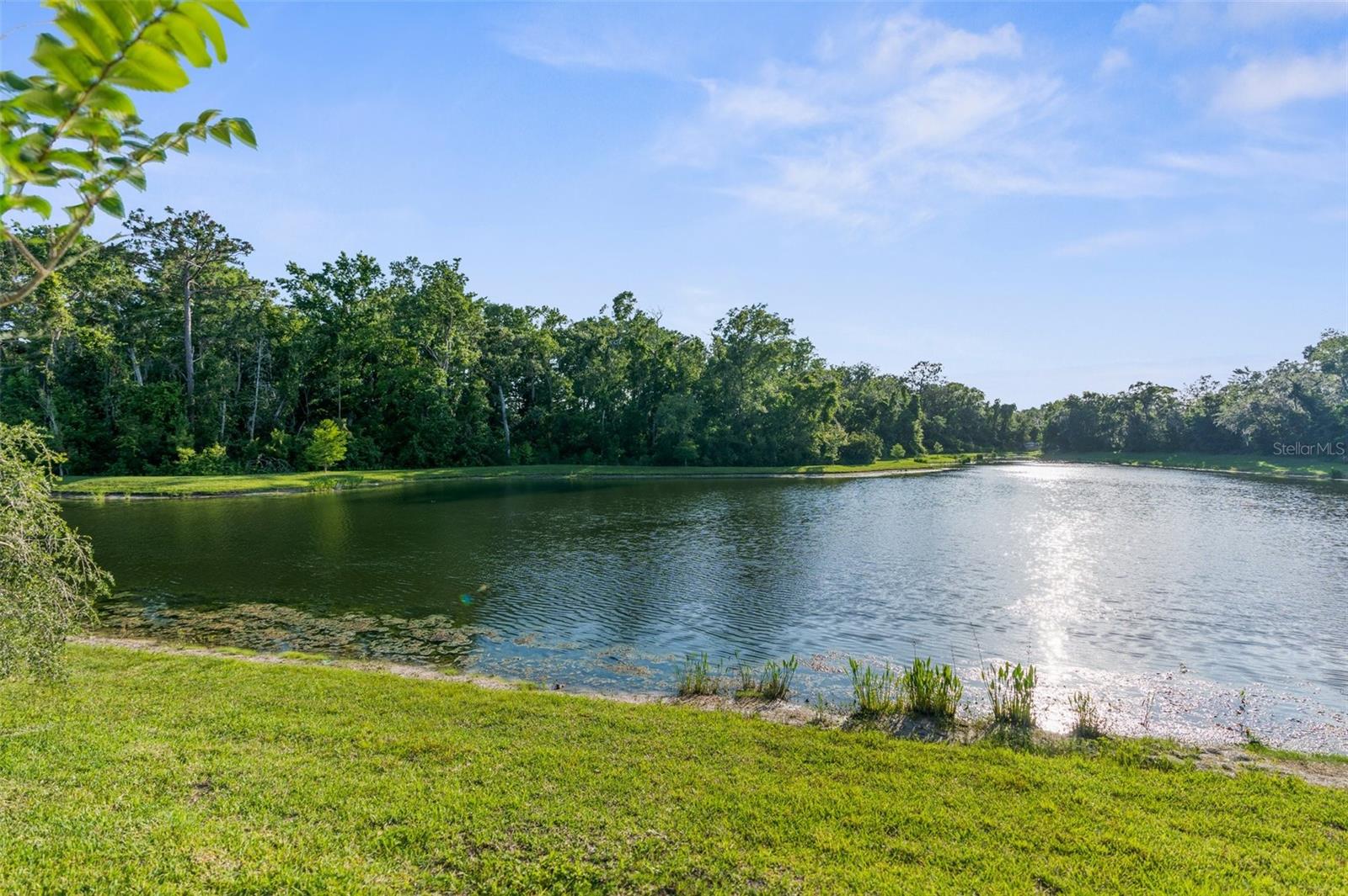 11597 WEAVER HOLLOW RD