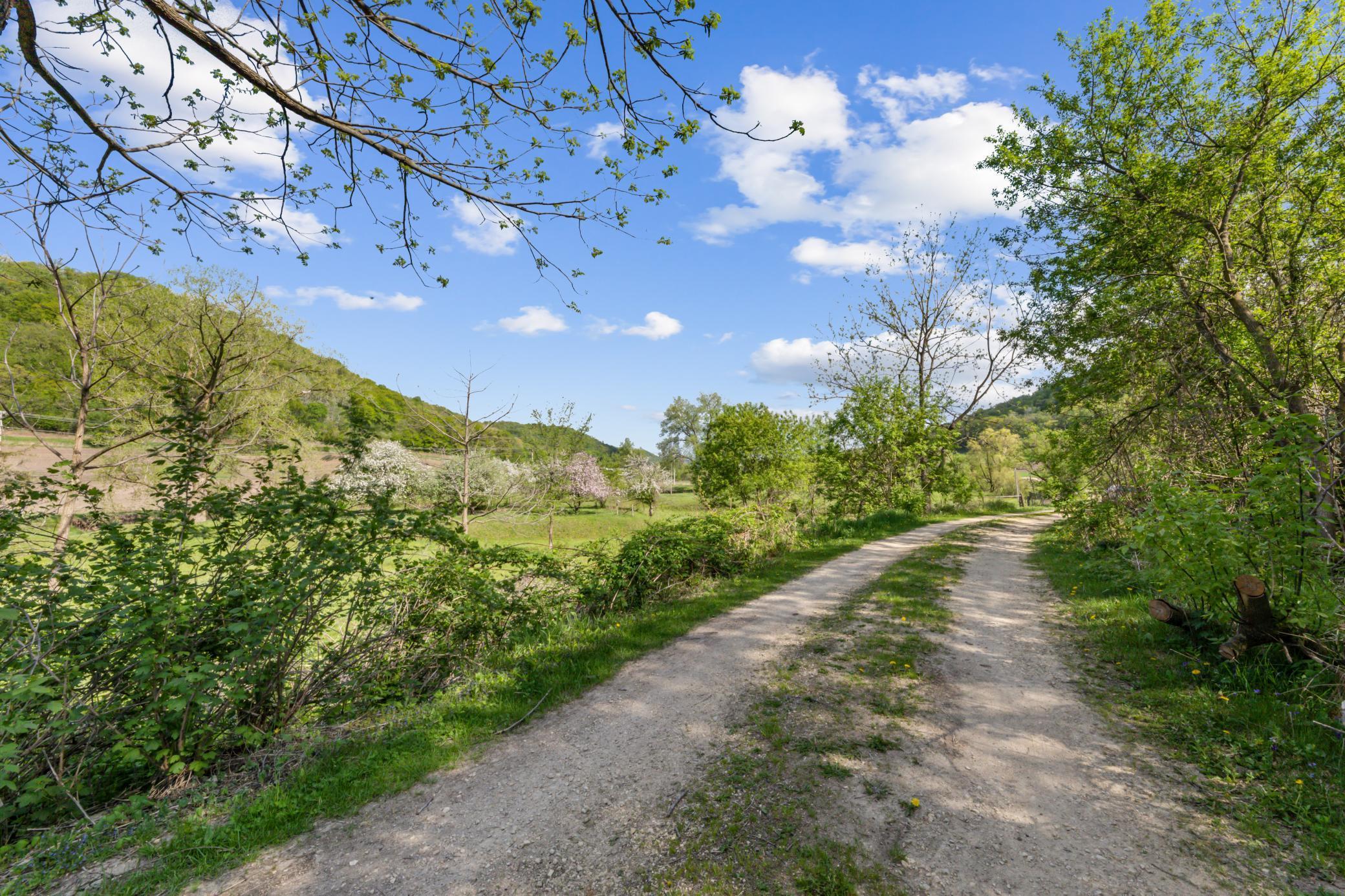 W1920 Rabbit Trail