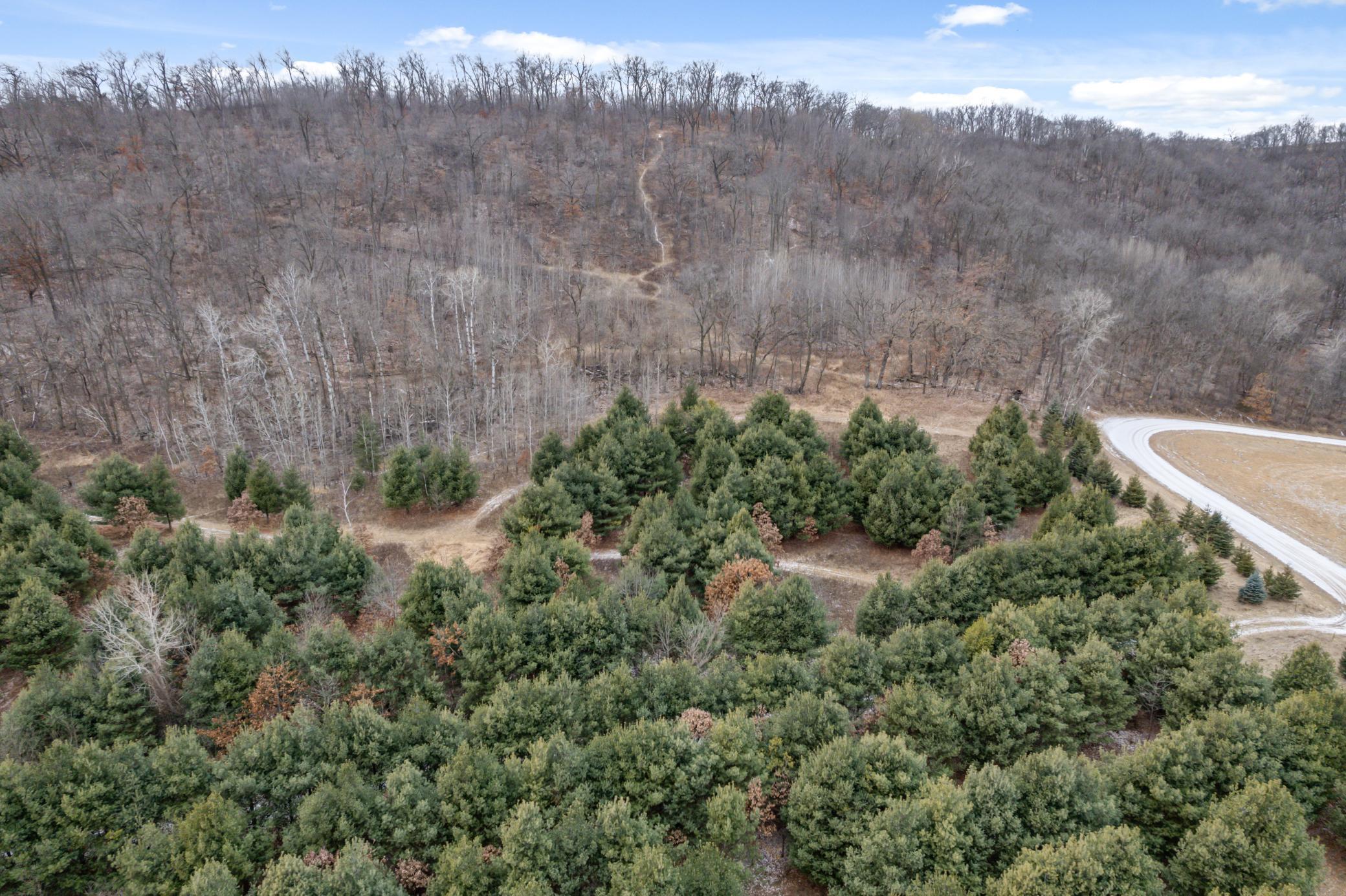 0 Cottonwood Lane East Parcel